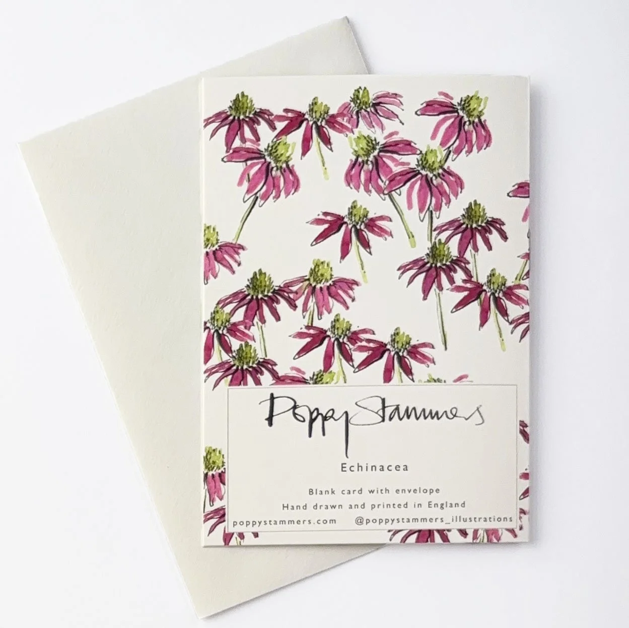 echinacea reverse.jpg