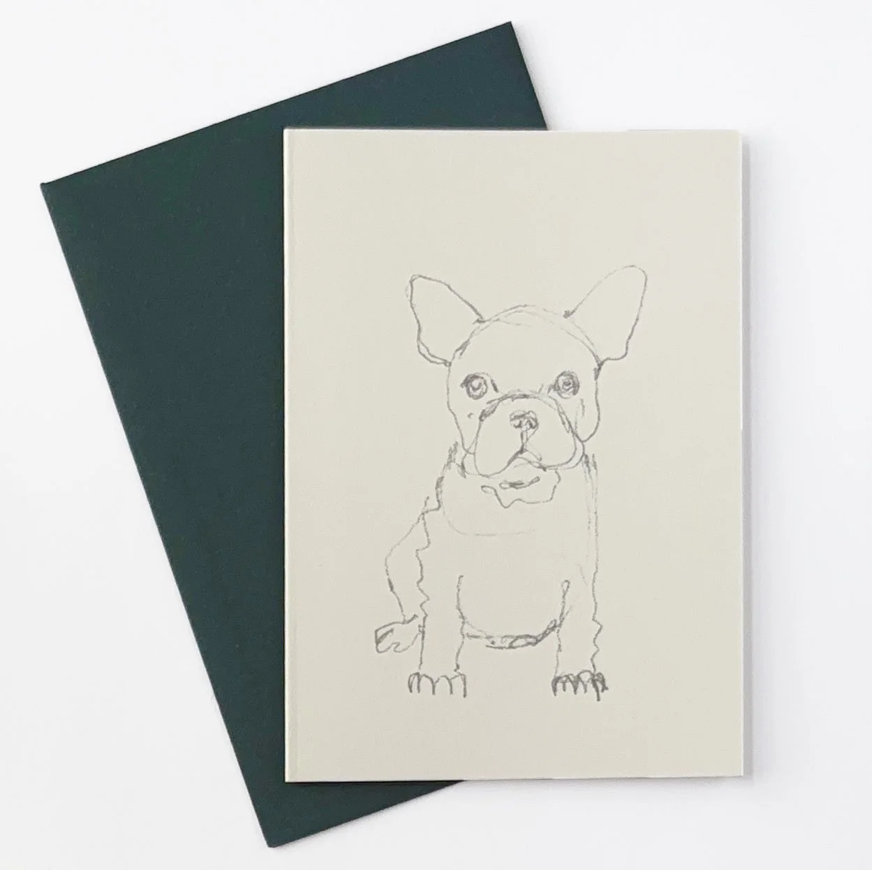 bouledogue francais.jpg