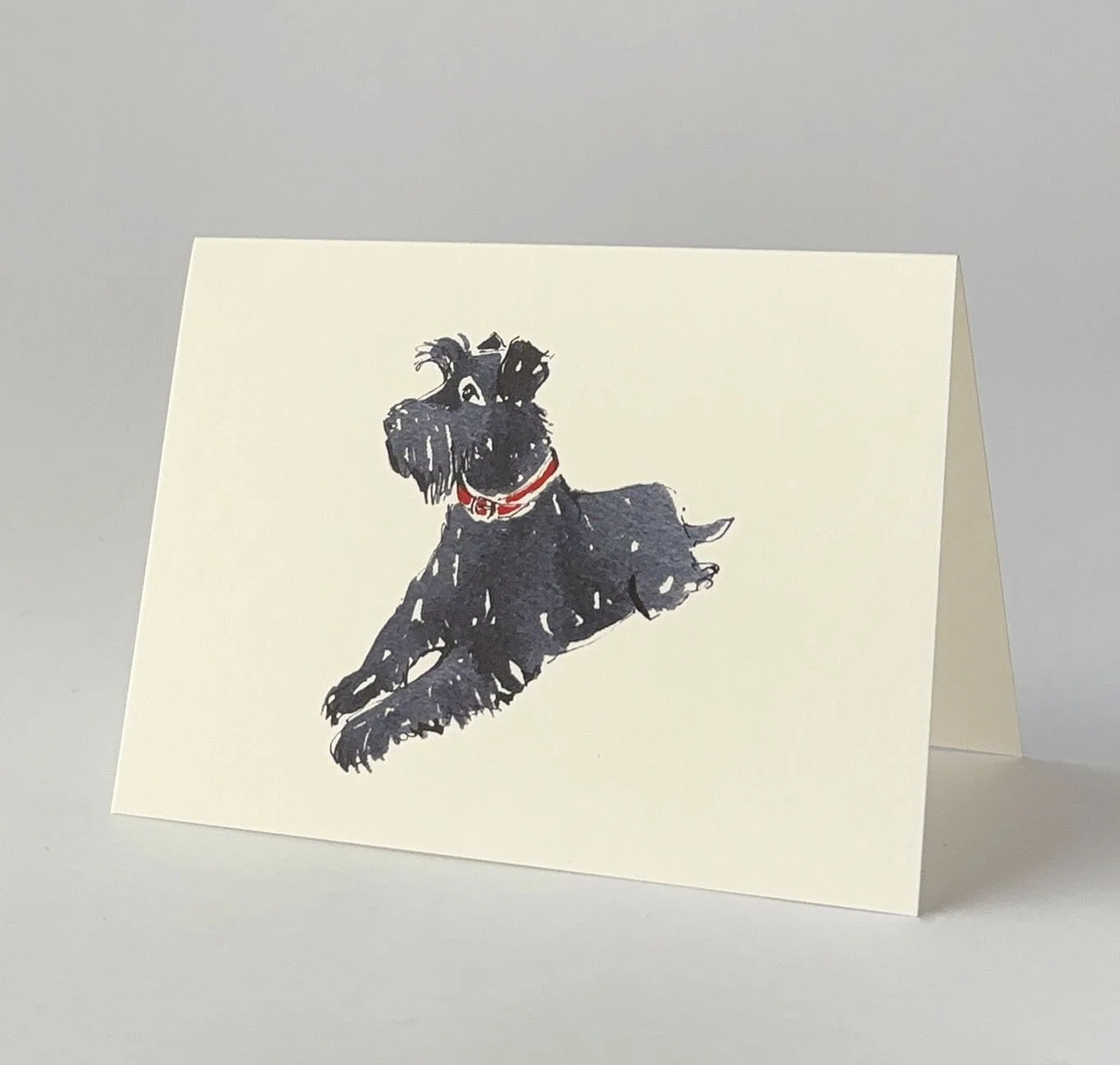 mini schnauzer standing.jpg
