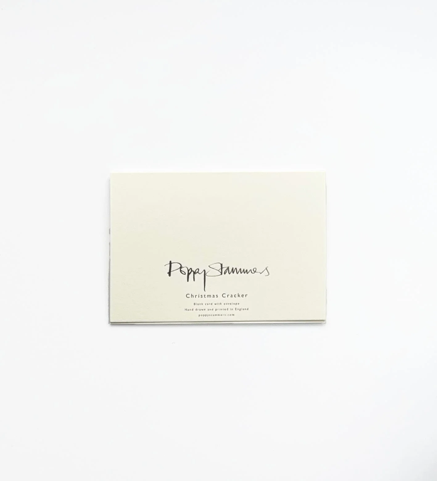 christmas cracker rever.jpg