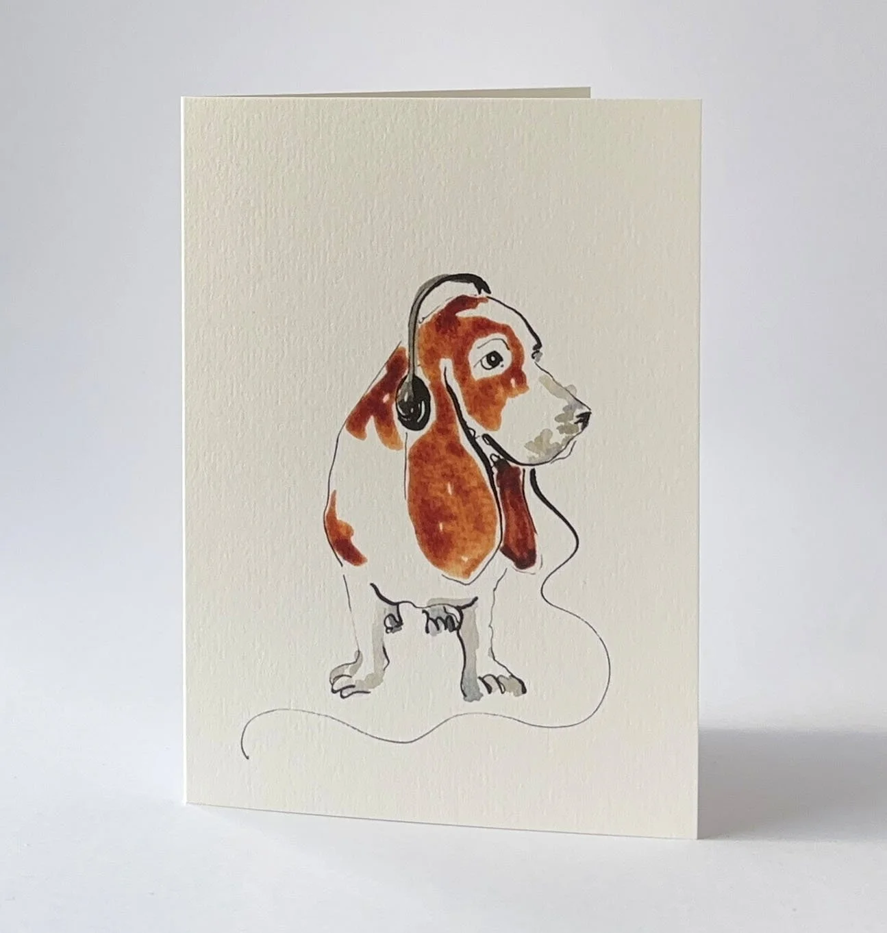dj basset hound standing.jpg