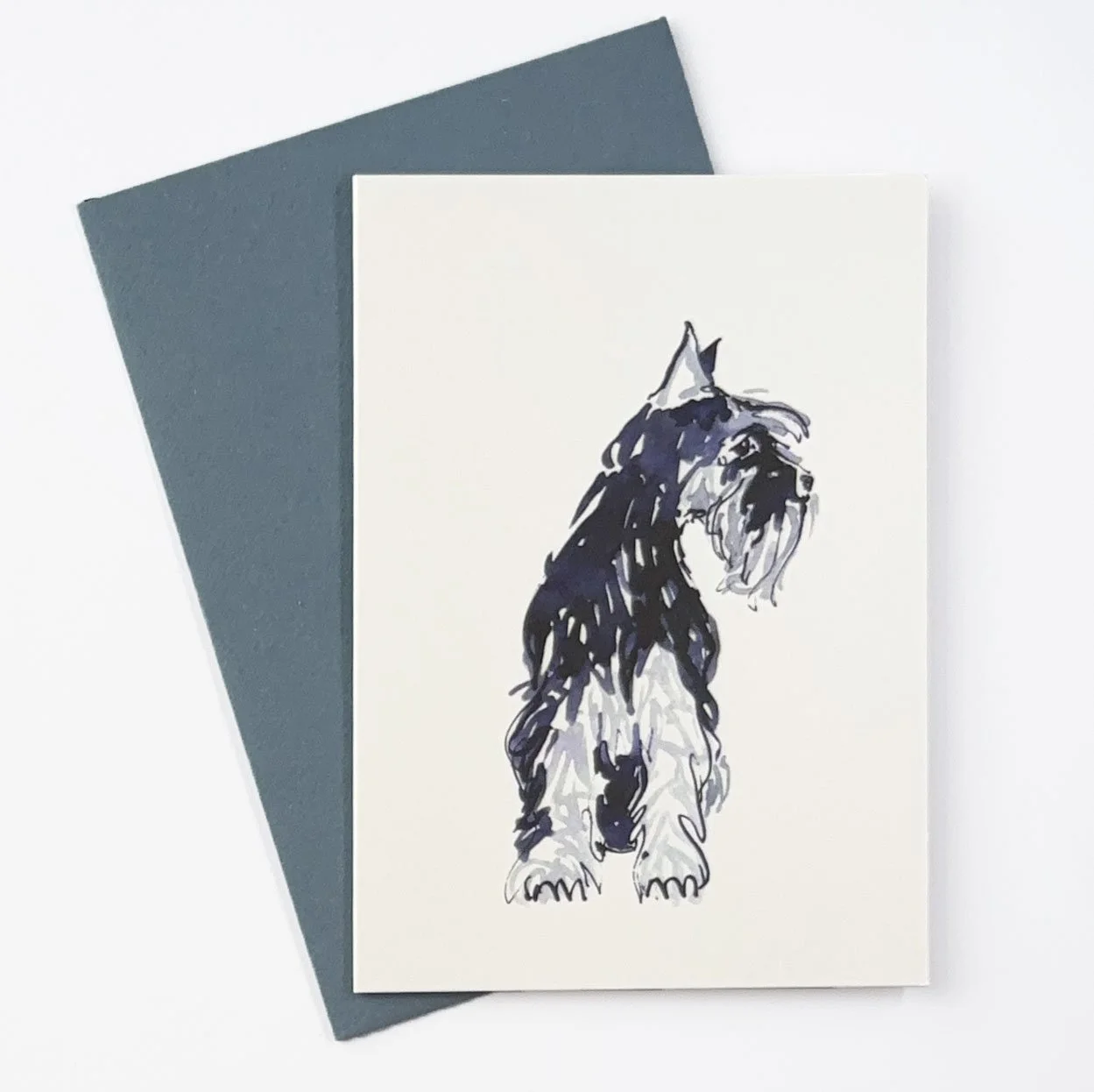 scruffy schnauzer.jpg