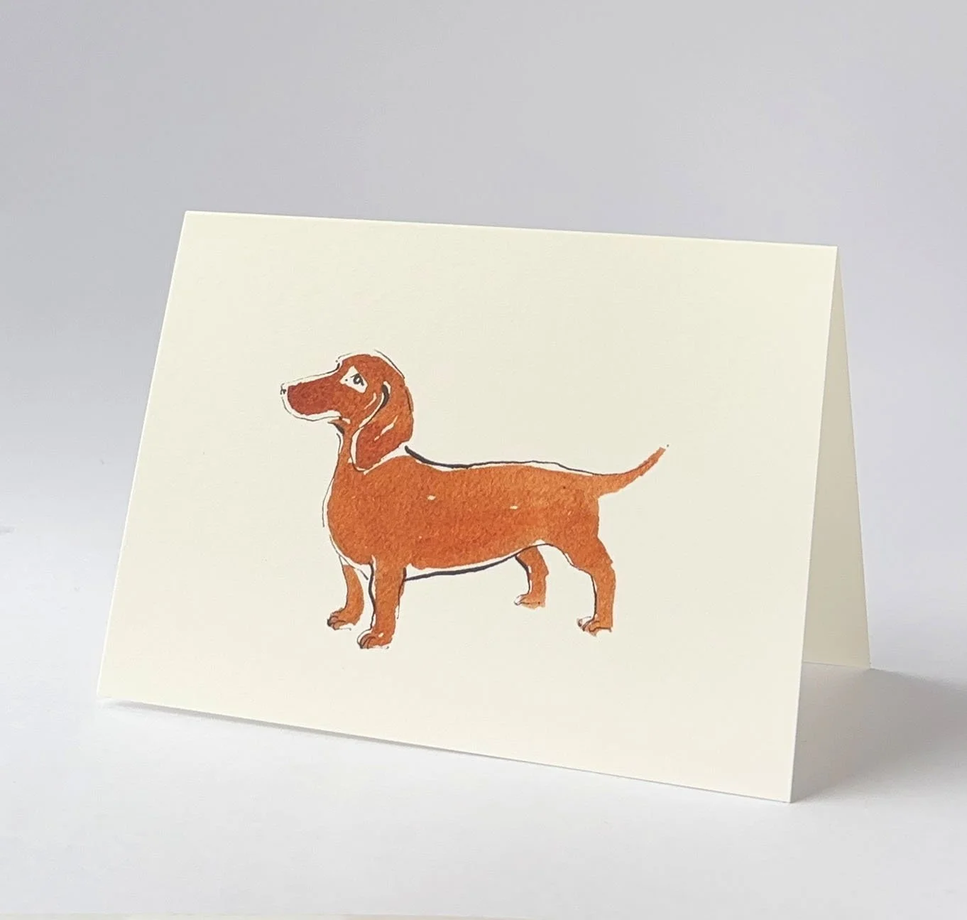 dachshund standing.jpg