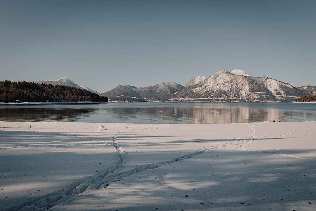 WF5_7468.jpg
