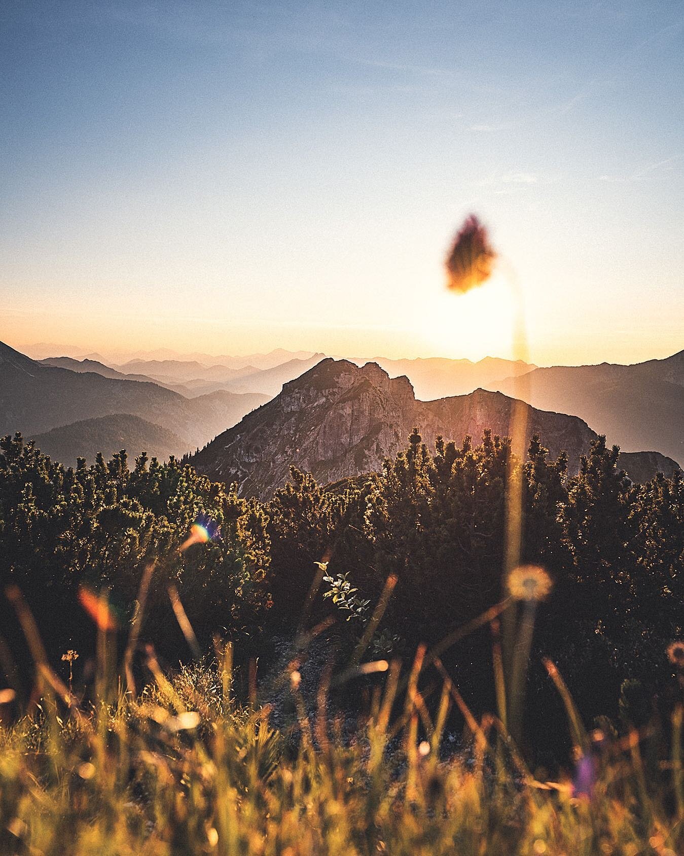 Berg-Sommer-Momente zum tr&auml;umen! Erz&auml;hlt mal vom euren highlights aus diesem Jahr!
⛰💙☀️
&bull;
#tegernsee
#tegernseertal
#deinbayern
#alpenliebe
#heimatliebe
#steigauf
#urlaubindeutschland
#waldfest
#dahoam
#dahoaminbayern
&bull;
vorsorgli