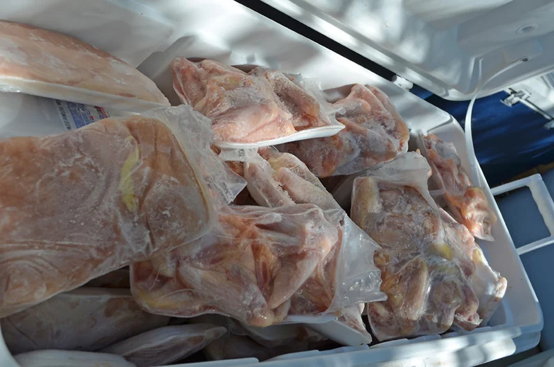 Fresh-Chicken.jpg