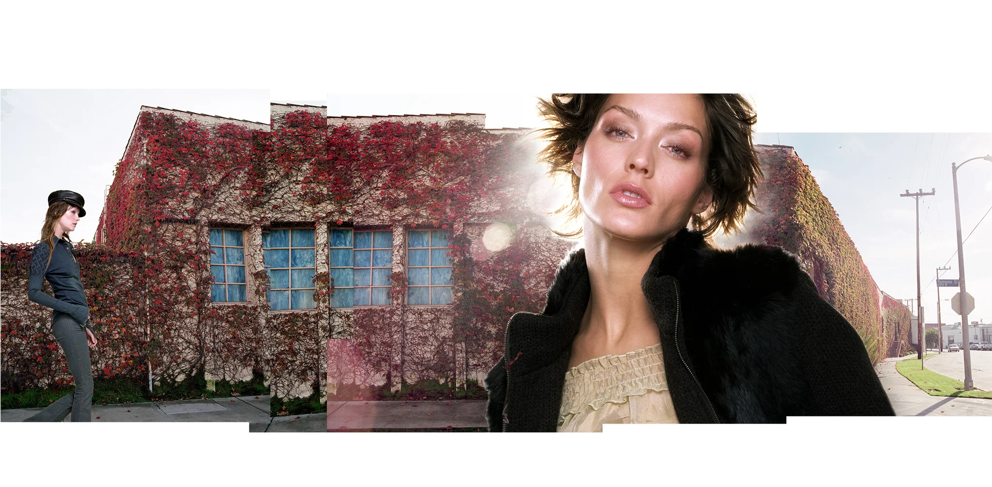 ivy-wallflat2.jpg