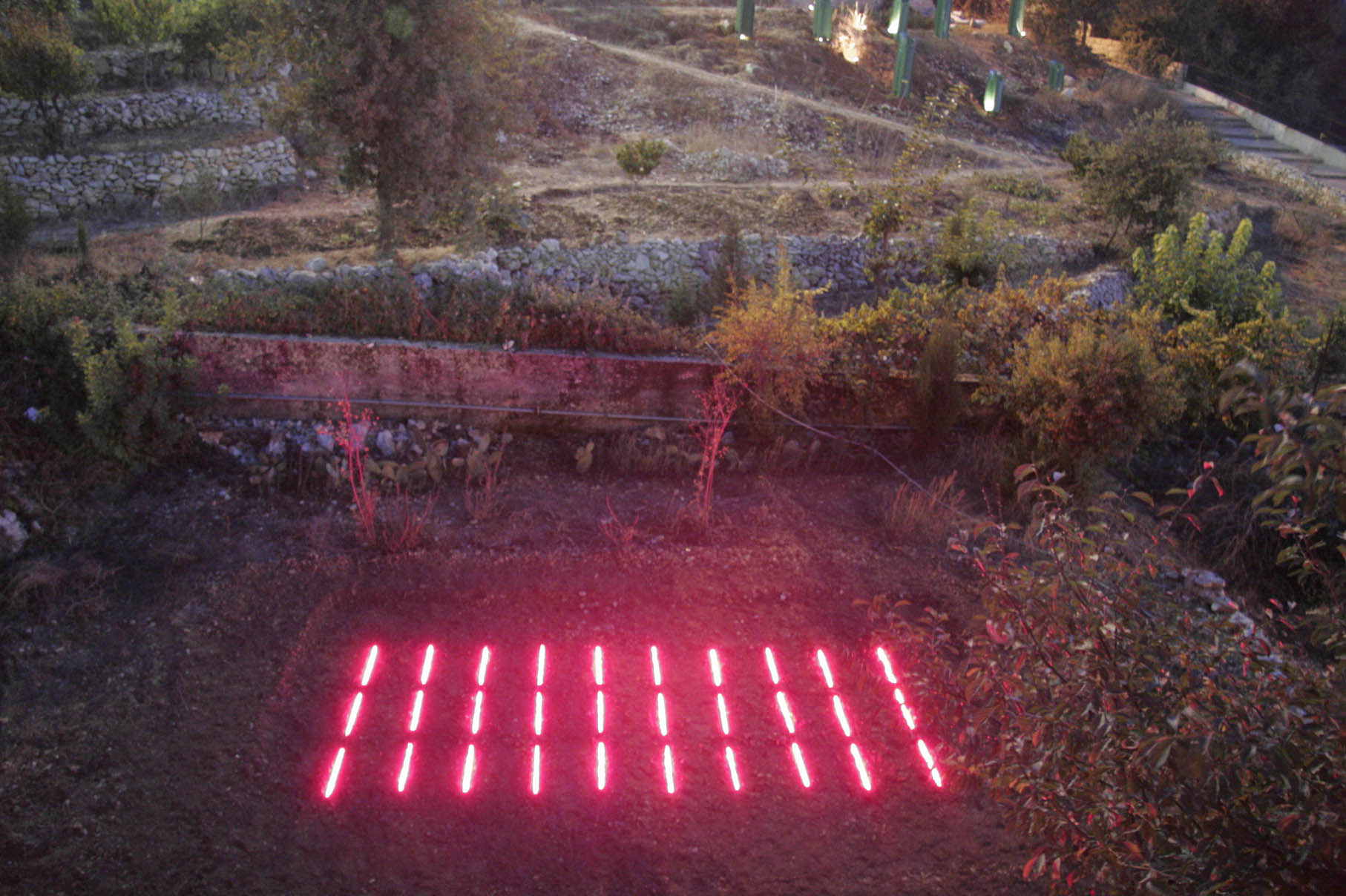 Installation view