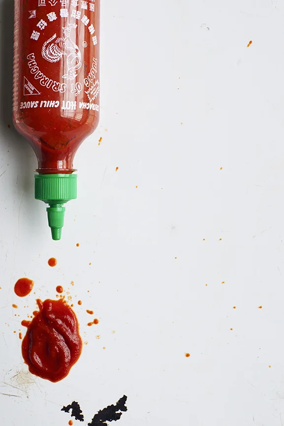 David Malosh, 2015 Food Styling: Chris Lanier