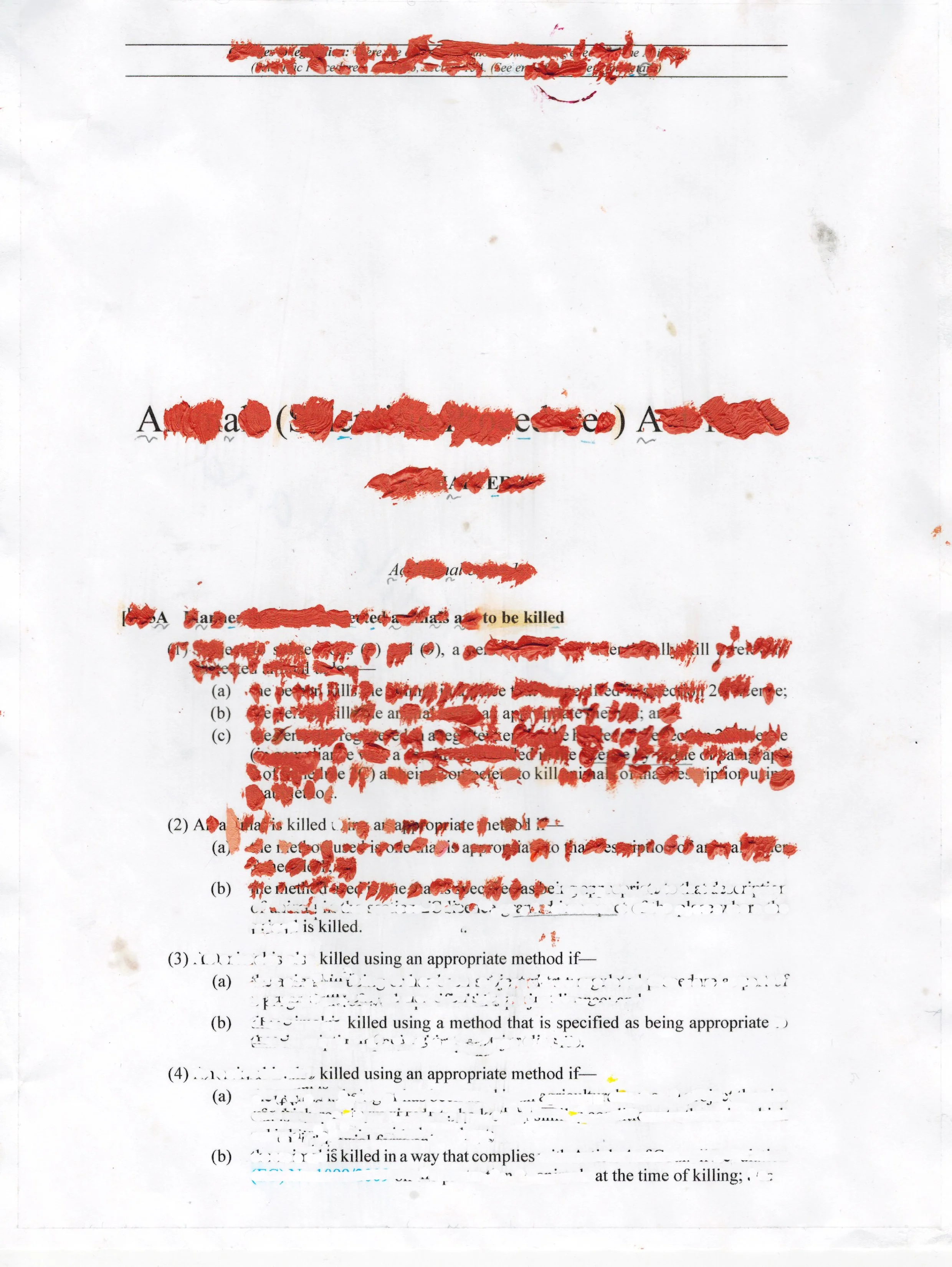 Scan 20.jpg