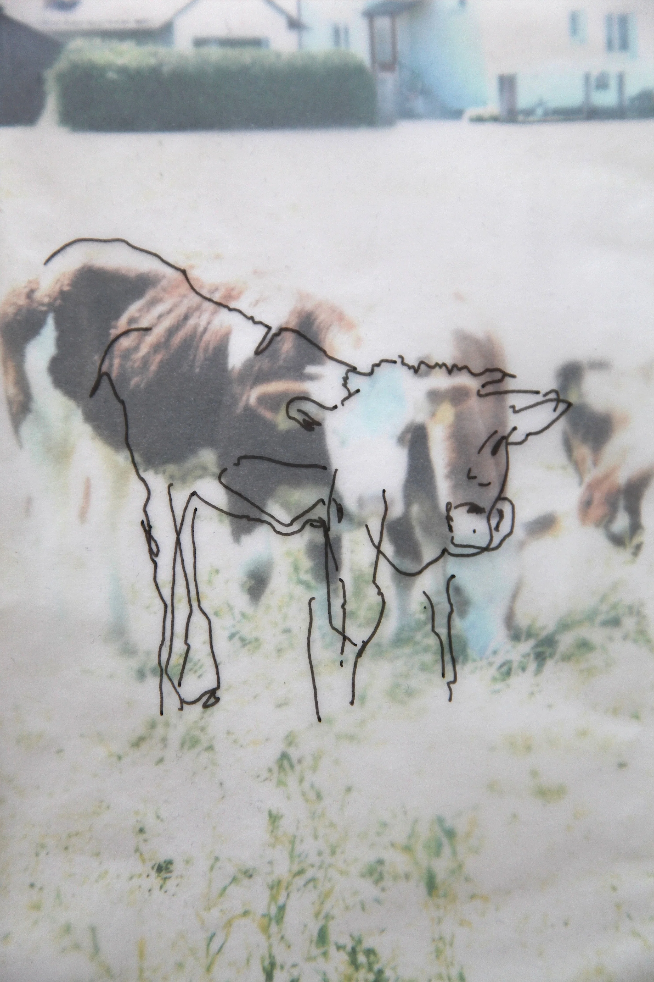 „Ich sehe was, was du nicht siehst…“