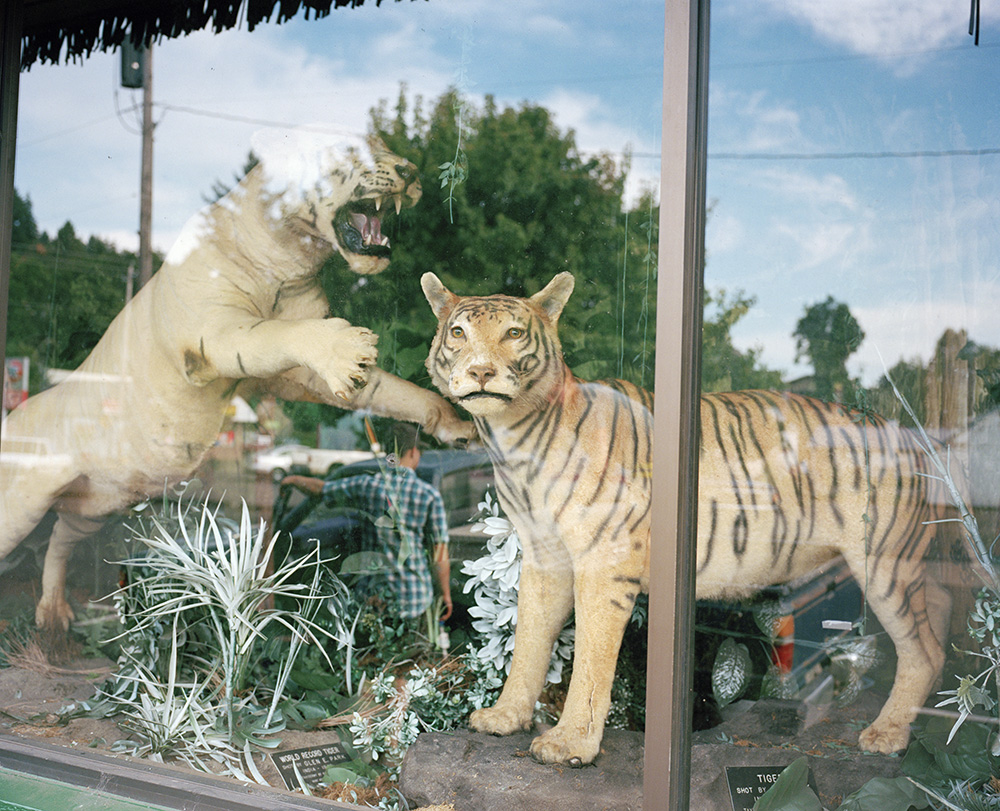 Maureen Drennan. Estacada, Oregon , 2013. Digital c-print; 24 x 30 inches. Courtesy of the artist. © Maureen Drennan.