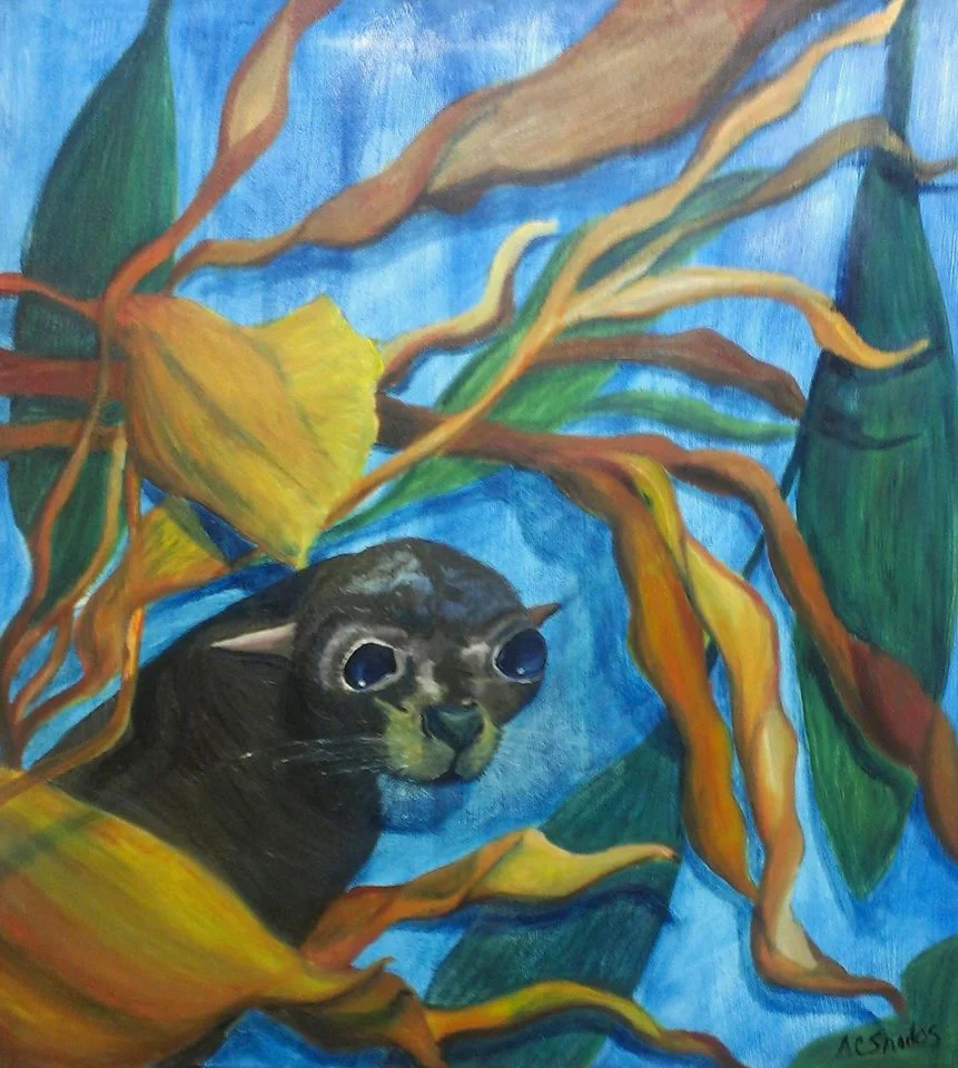 The Kelp Beds