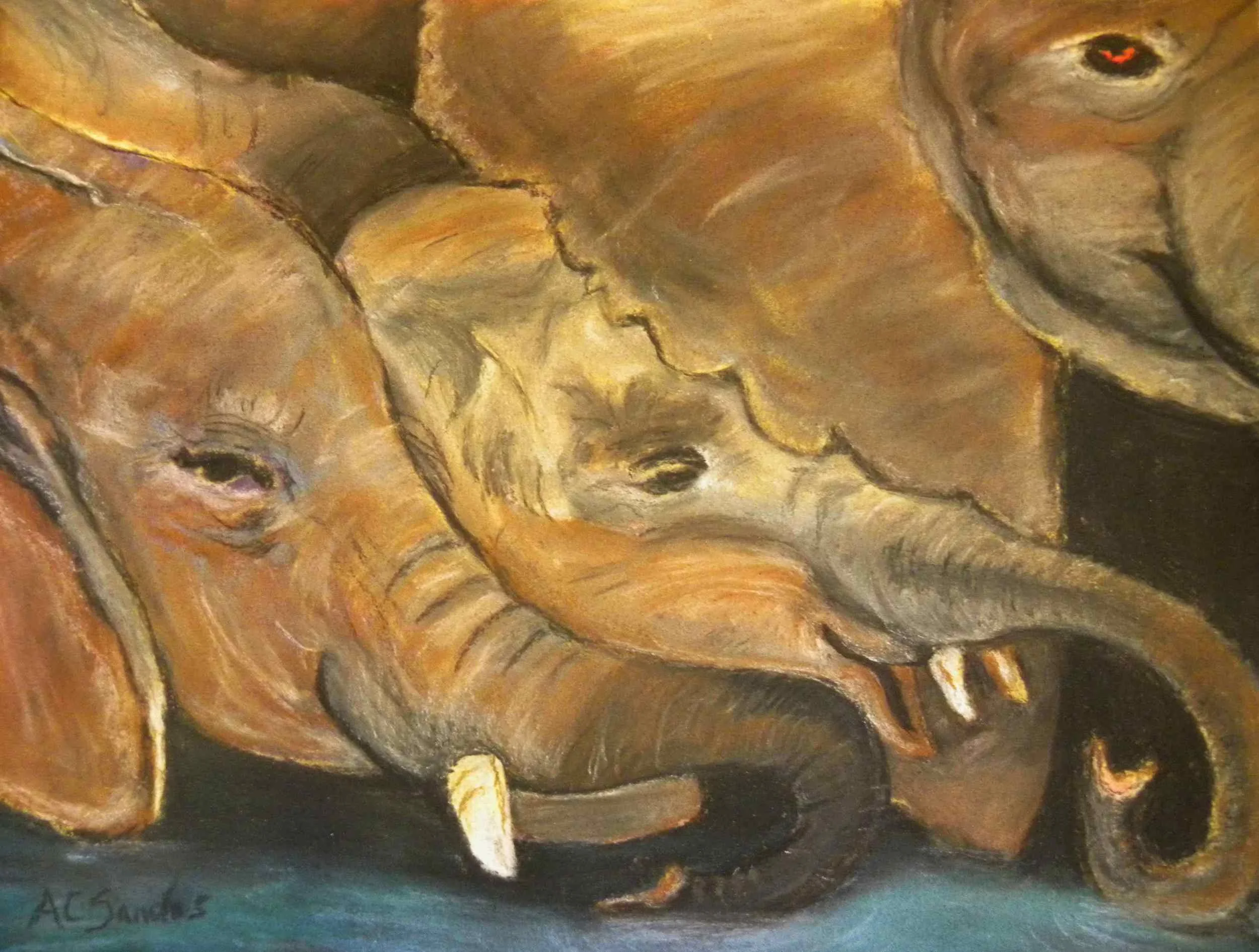 The Watering Hole