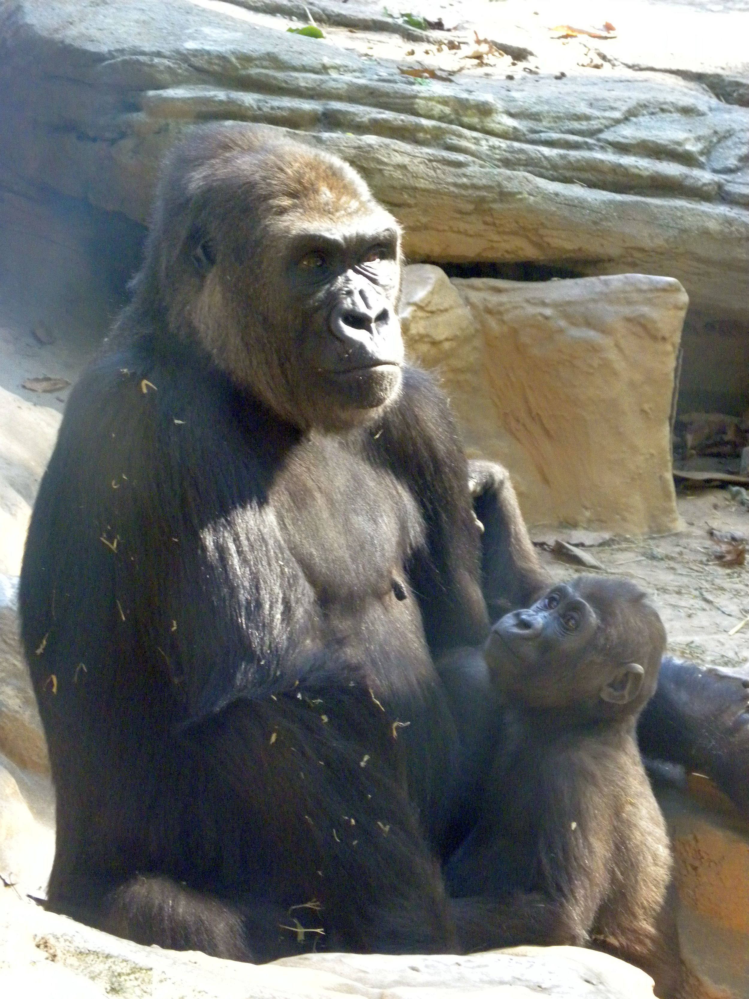 Mother and Child Reunion