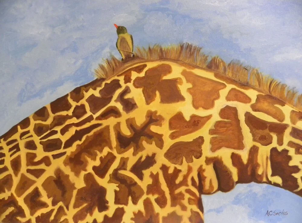 The Oxpecker.