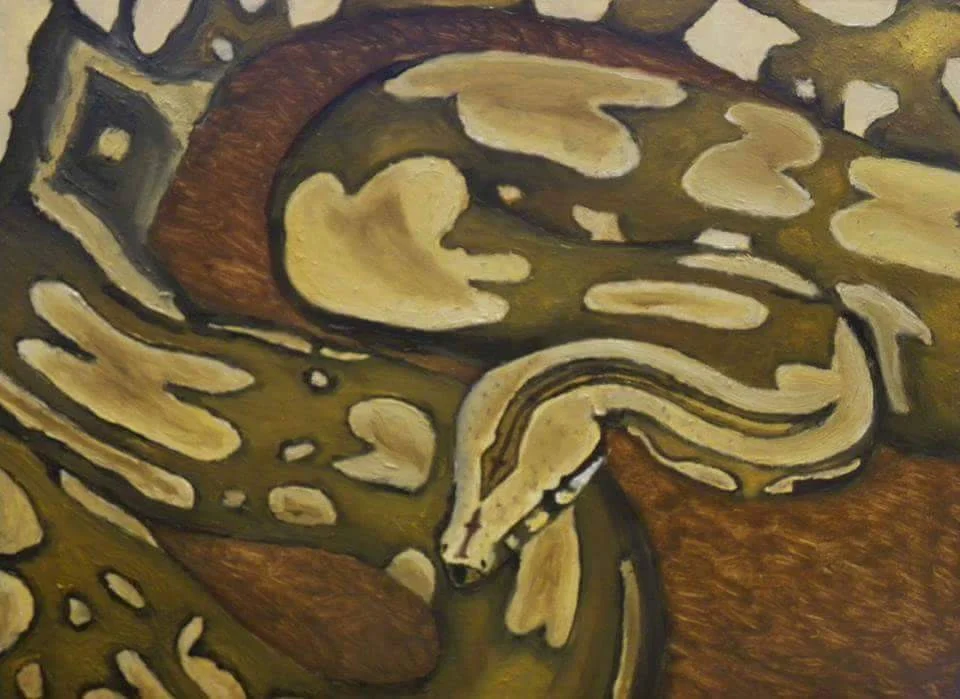 Reticulated Python