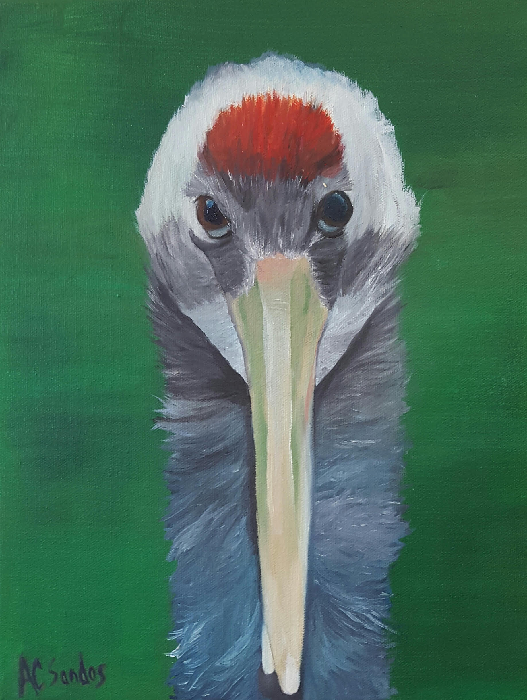 Curious Crane II