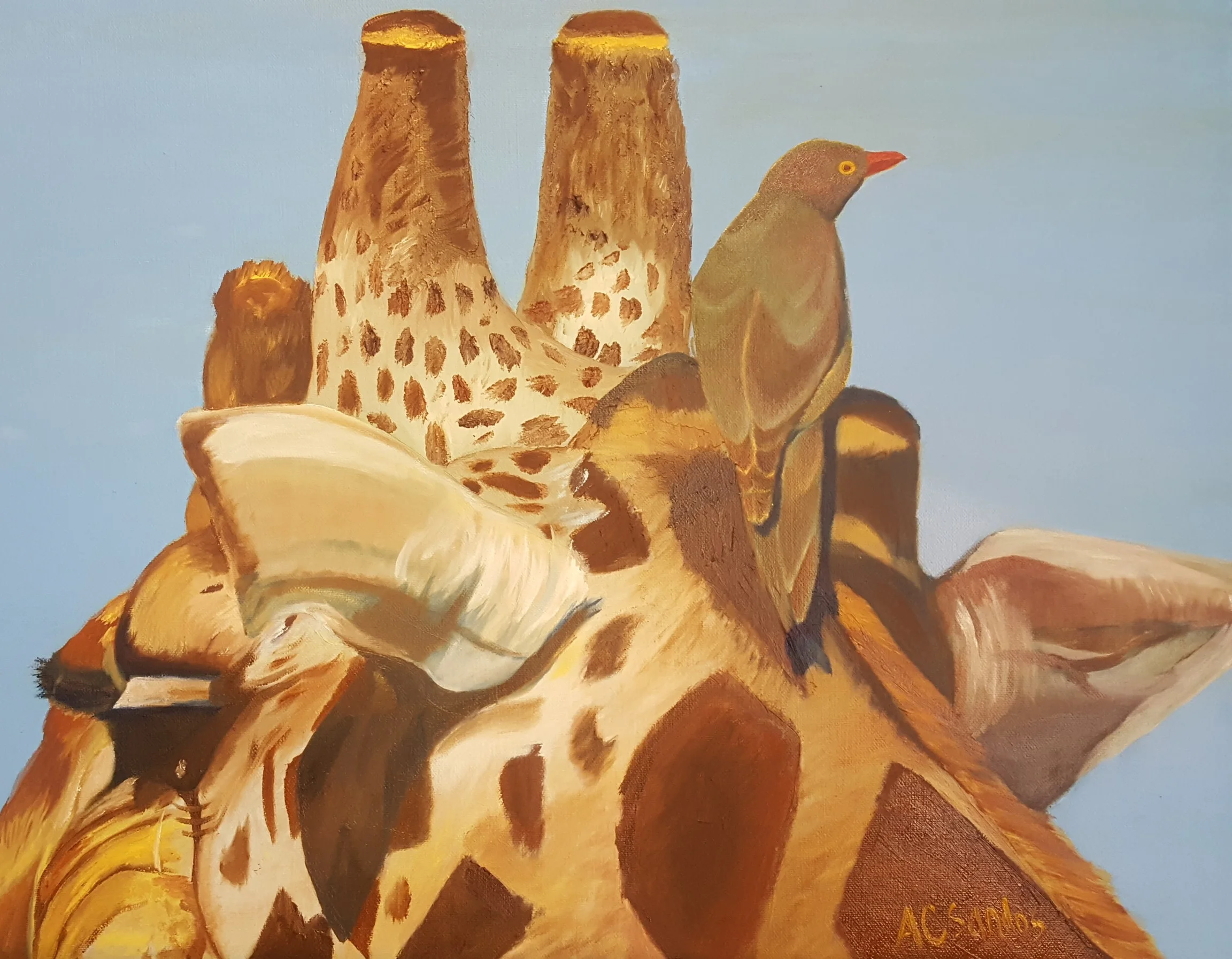 Symbiosis Series : Oxpecker No. 4