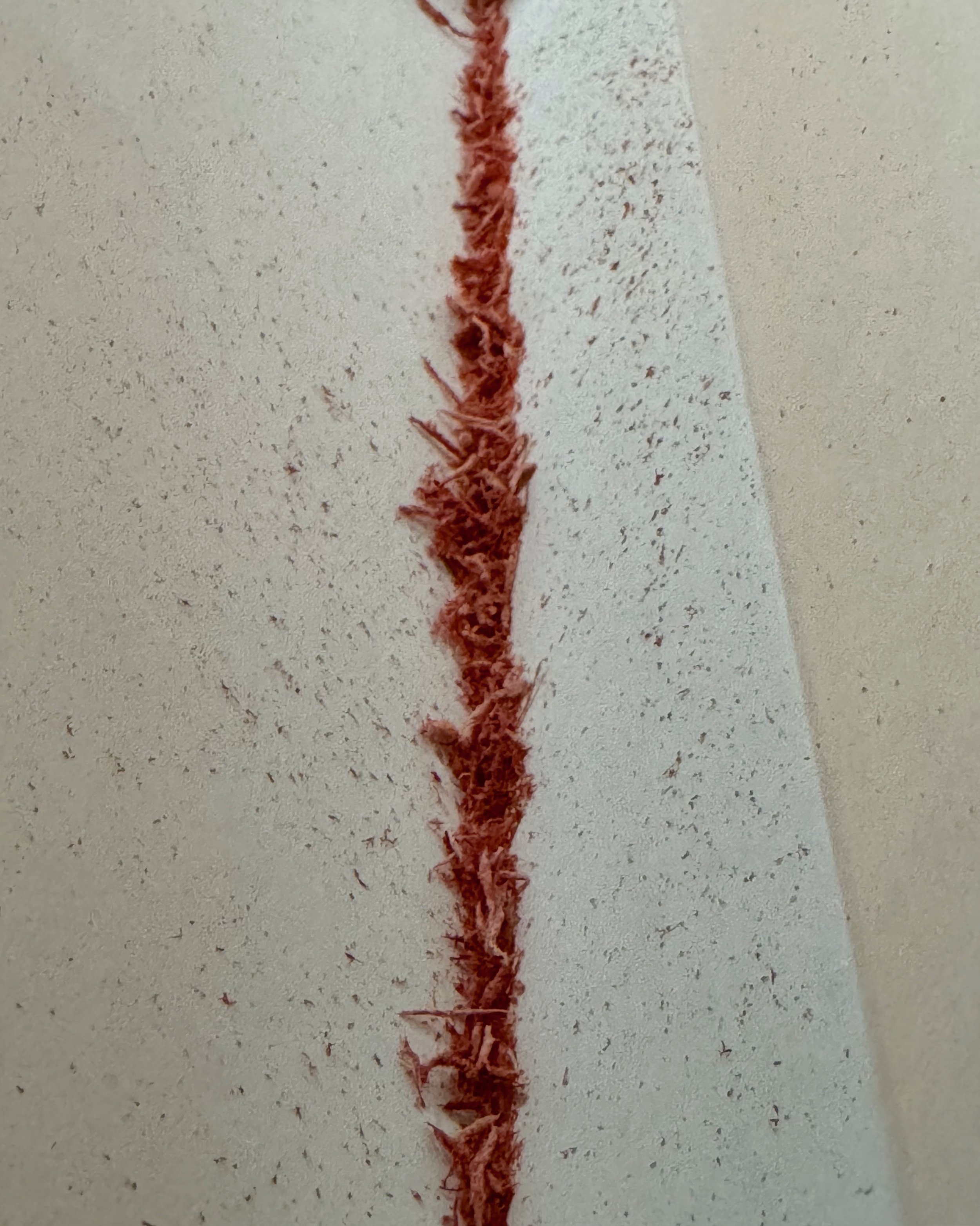 Erased American History 2025 - Erasings.jpeg