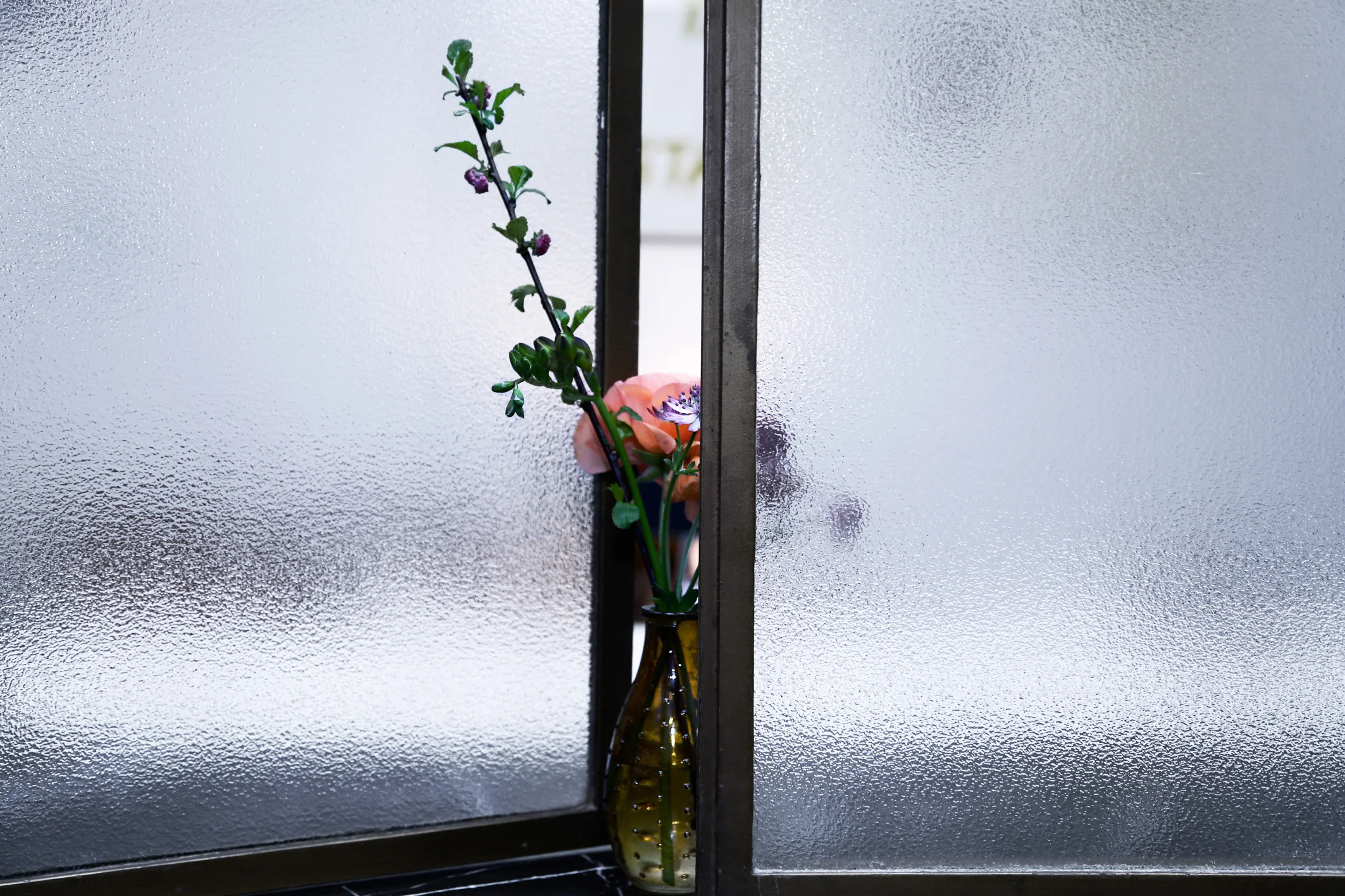 FOHO_5470_lr.jpg