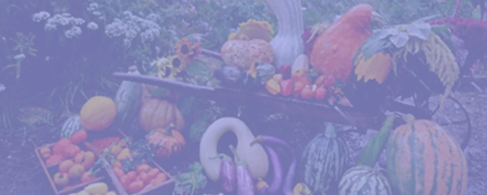 A Case for Heirloom Harvests