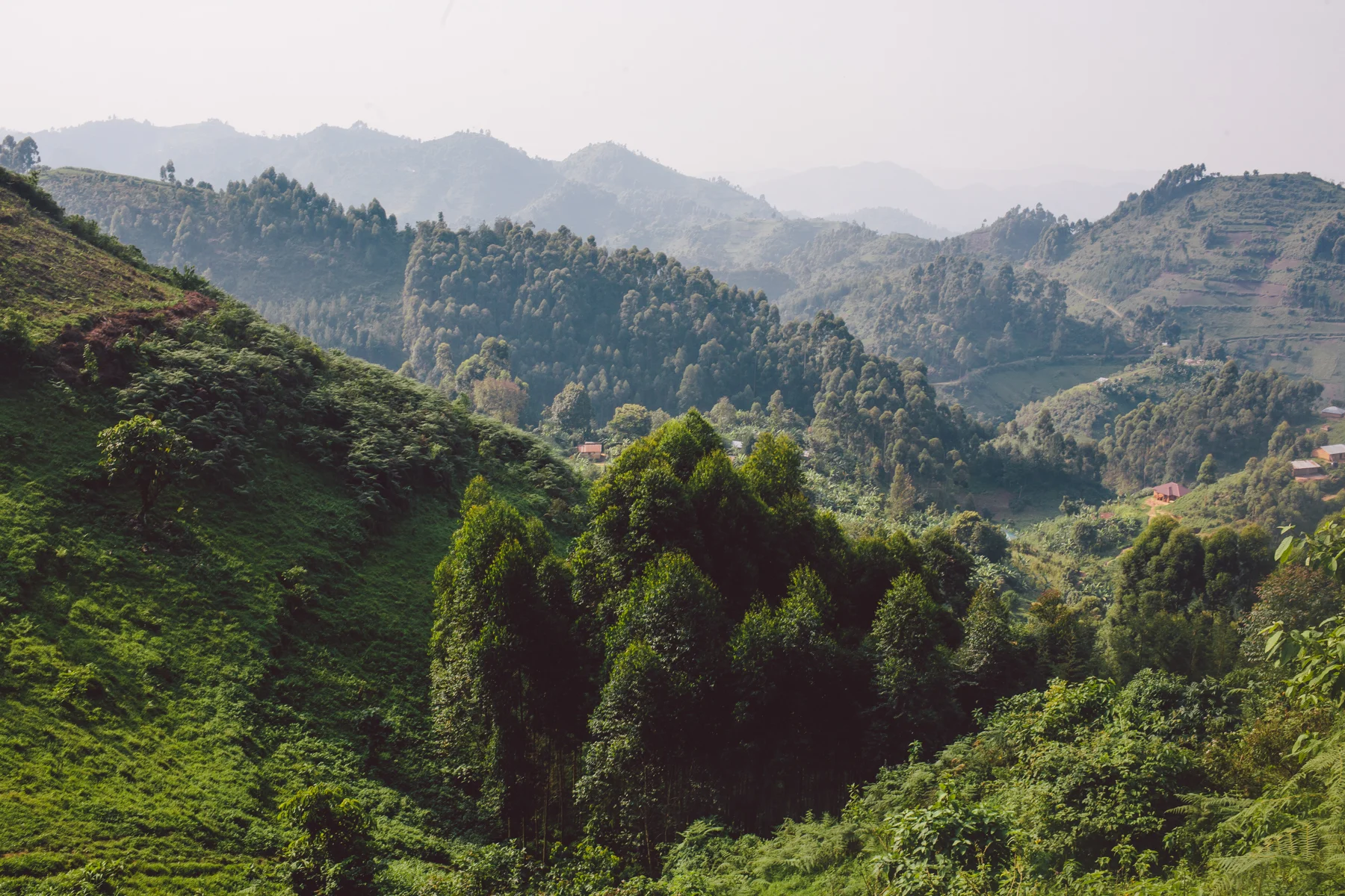 uganda-17.jpg