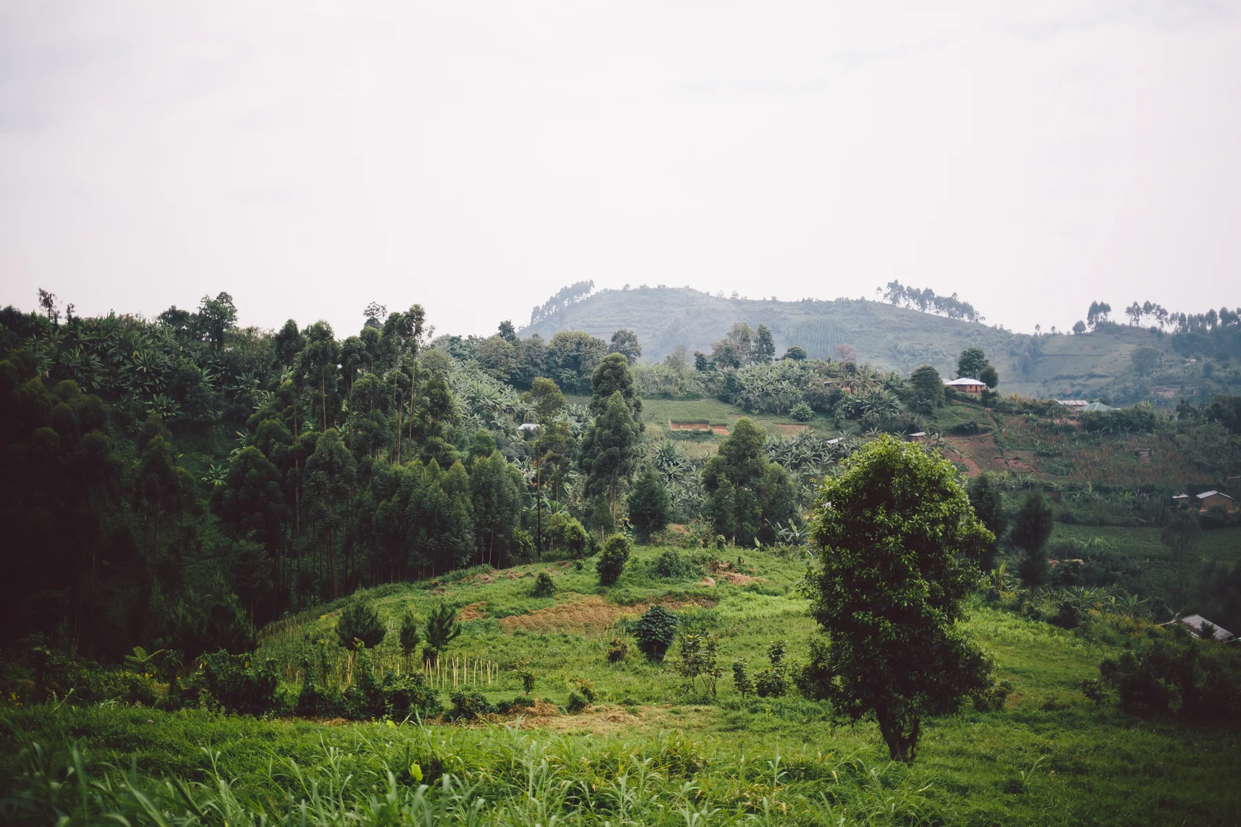 uganda-40.jpg