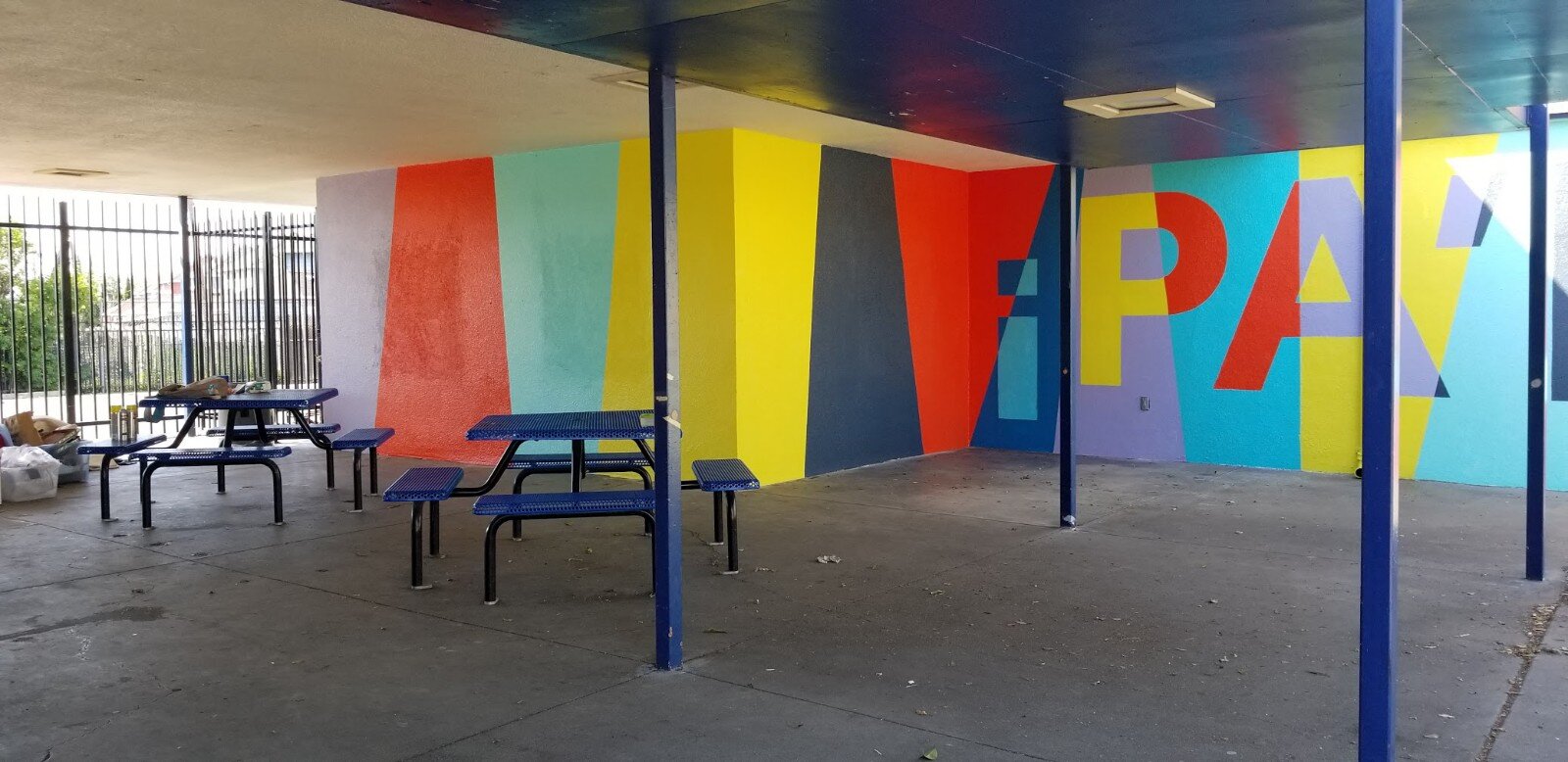 project color corps_madison park academy_final_1.jpg
