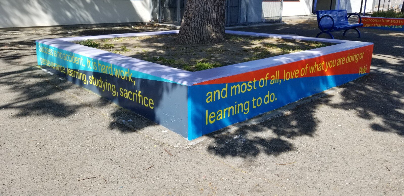 project color corps_madison park academy_final_2.jpg