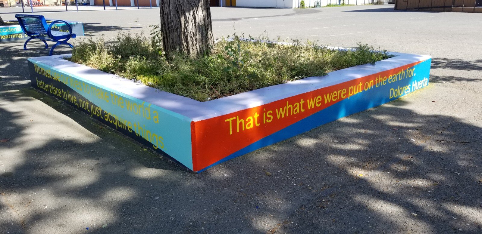 project color corps_madison park academy_final_5.jpg