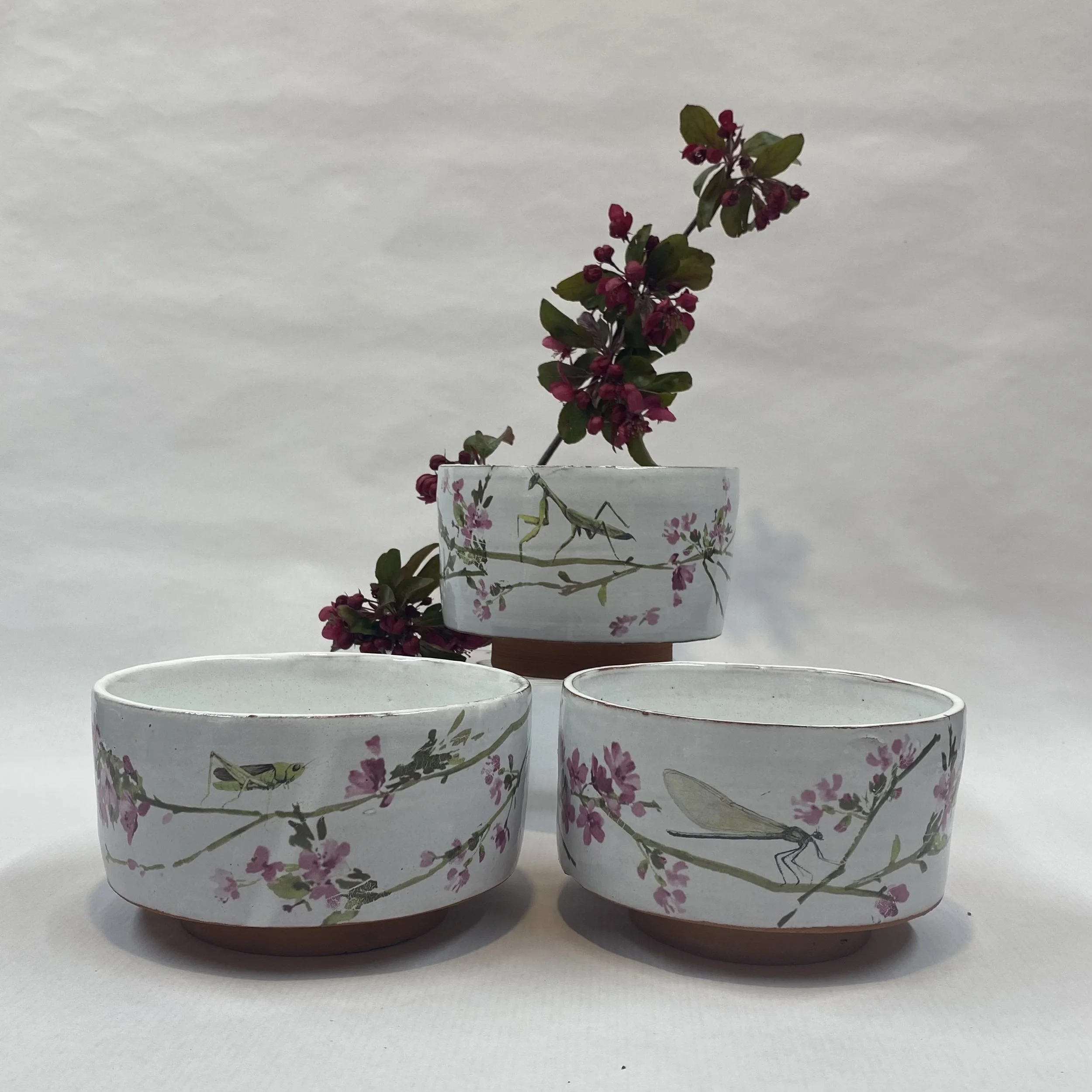 Chinese inspired bowls 