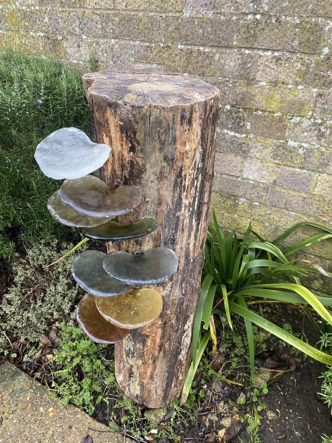 IngridHunter-Fruits of-Life-Fungi_2-CastGlass-on-Wood-90x26x38cm3000.jpg