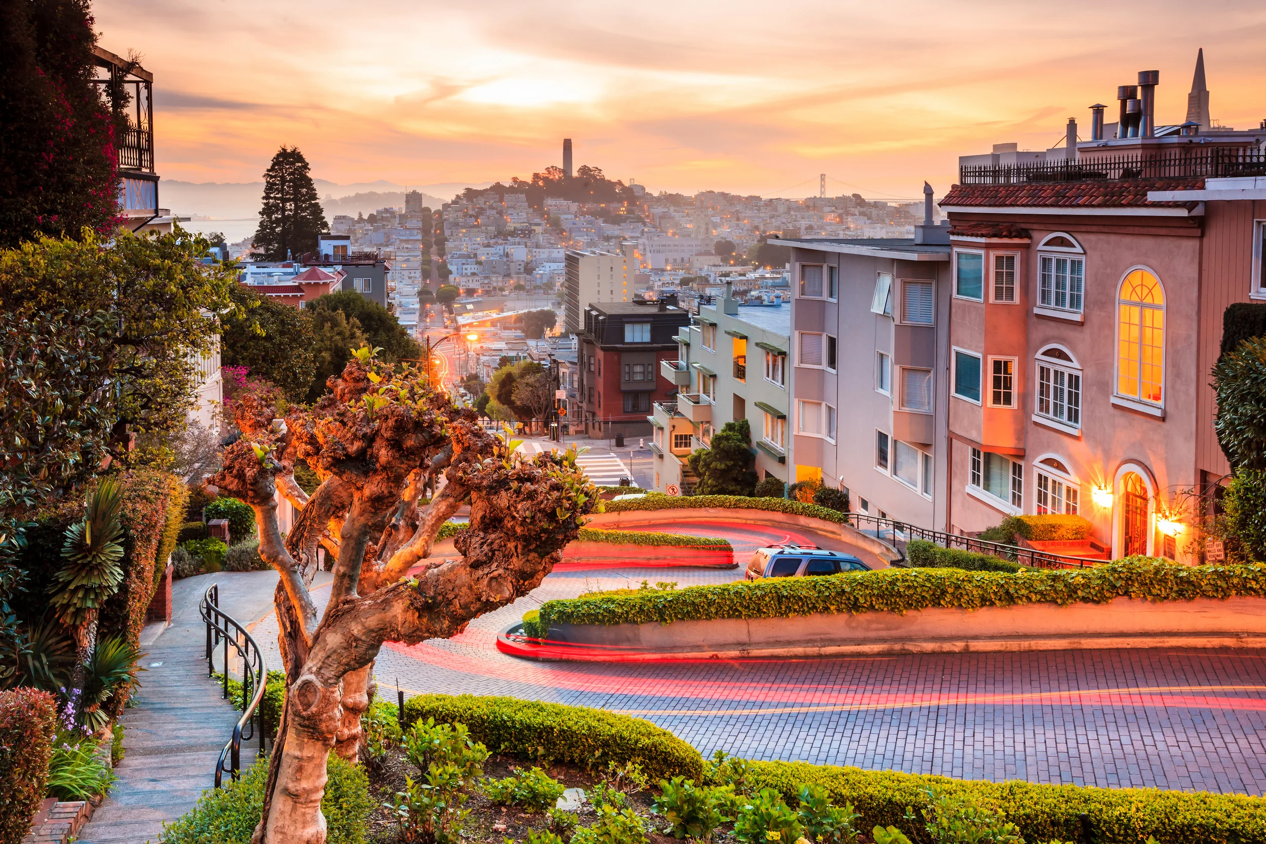 SF Winding Street.jpg