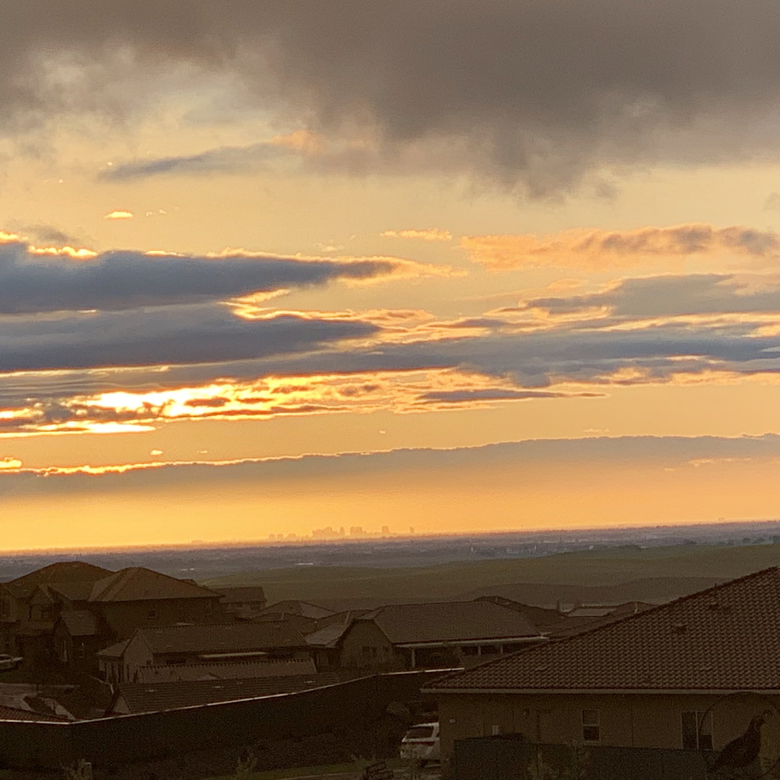 20190304_014517364_iOS.jpg