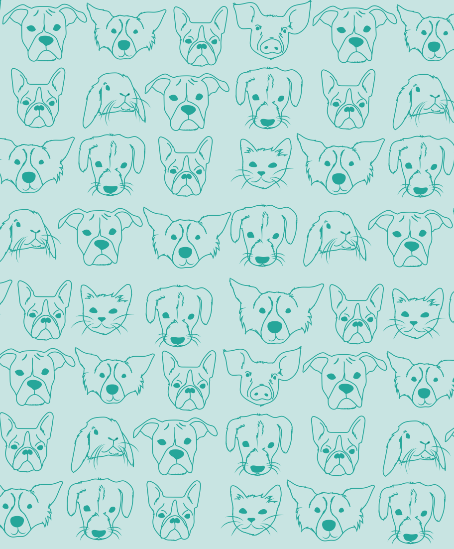 Pattern for The Michigan Humane Society by Lauren Hartley, Garrett Ebbling and Taylor Reyes. 