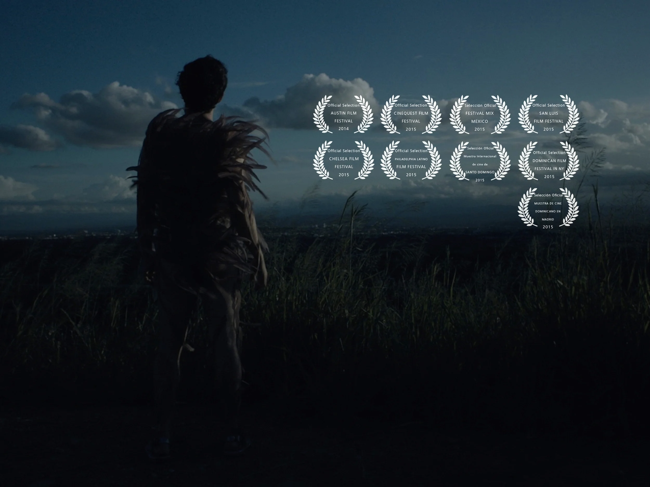 WEBSITE BACKGROUND 9 FESTIVALS LOGOS horizontal.jpg