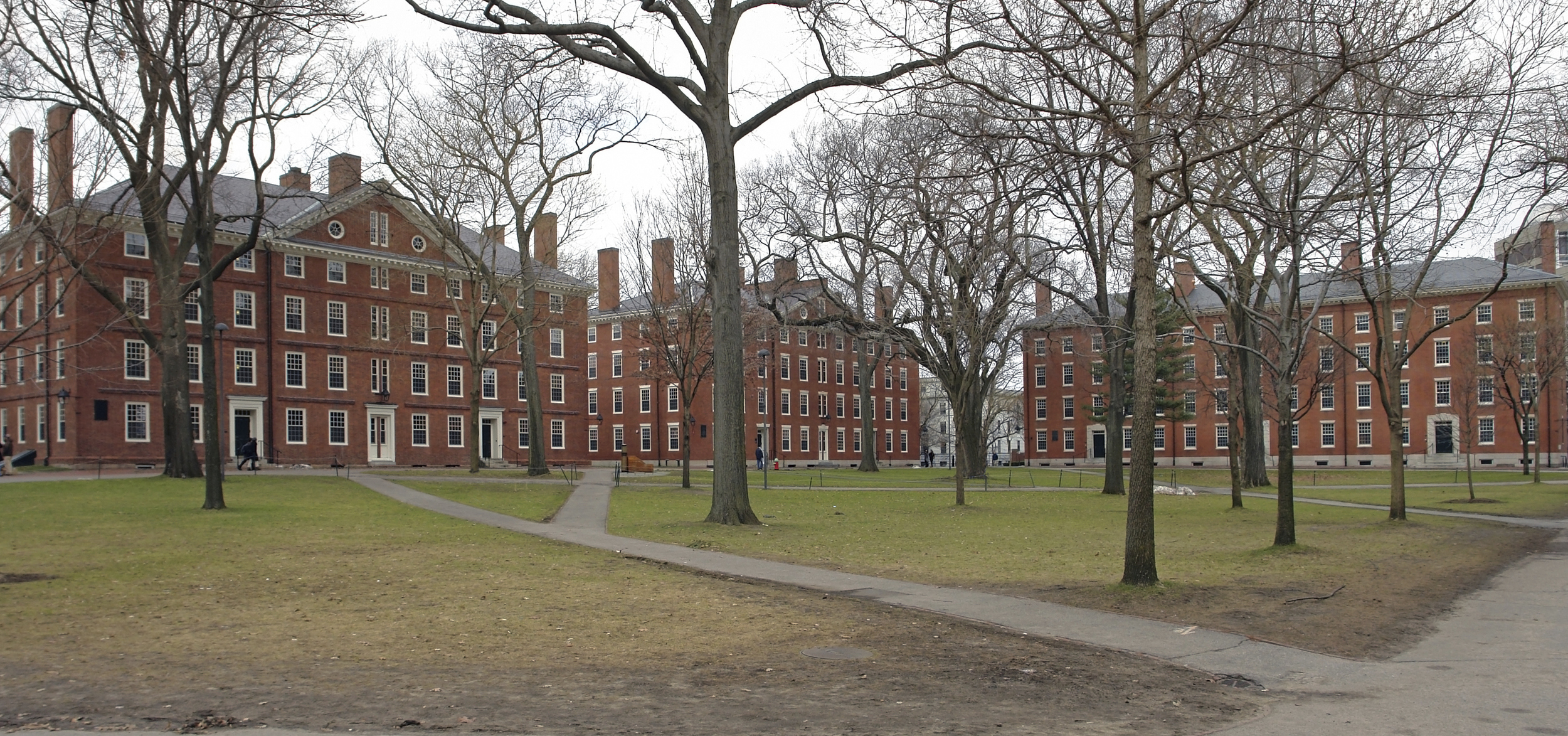 Havard Yard Photo by Achim Prill/iStock / Getty Images
