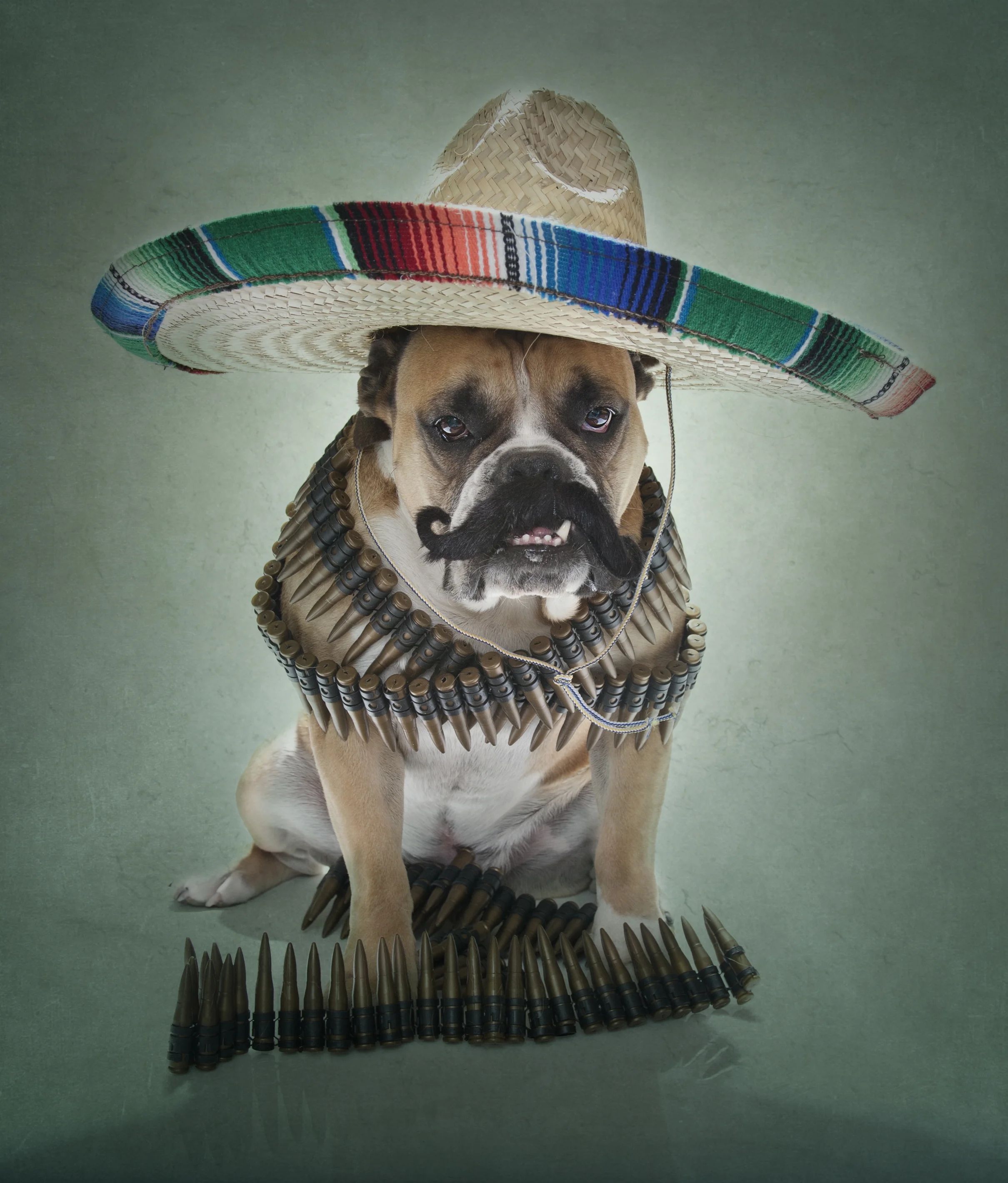 @BostonAttitude Picks for Cinco de Mayo in Boston 