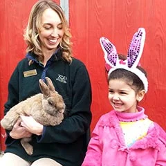 bunnybonanzoo_box.jpg