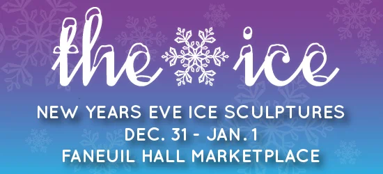 ice-web-011.jpg