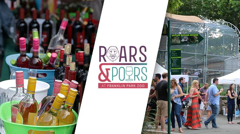 Roars &amp; Pours