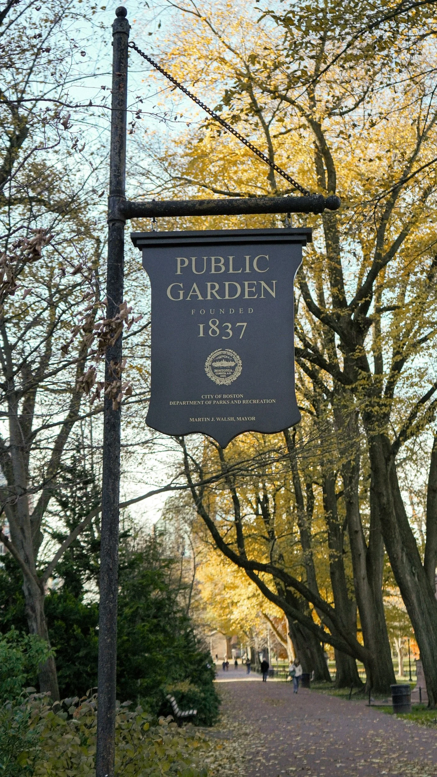 The Boston Public Garden 