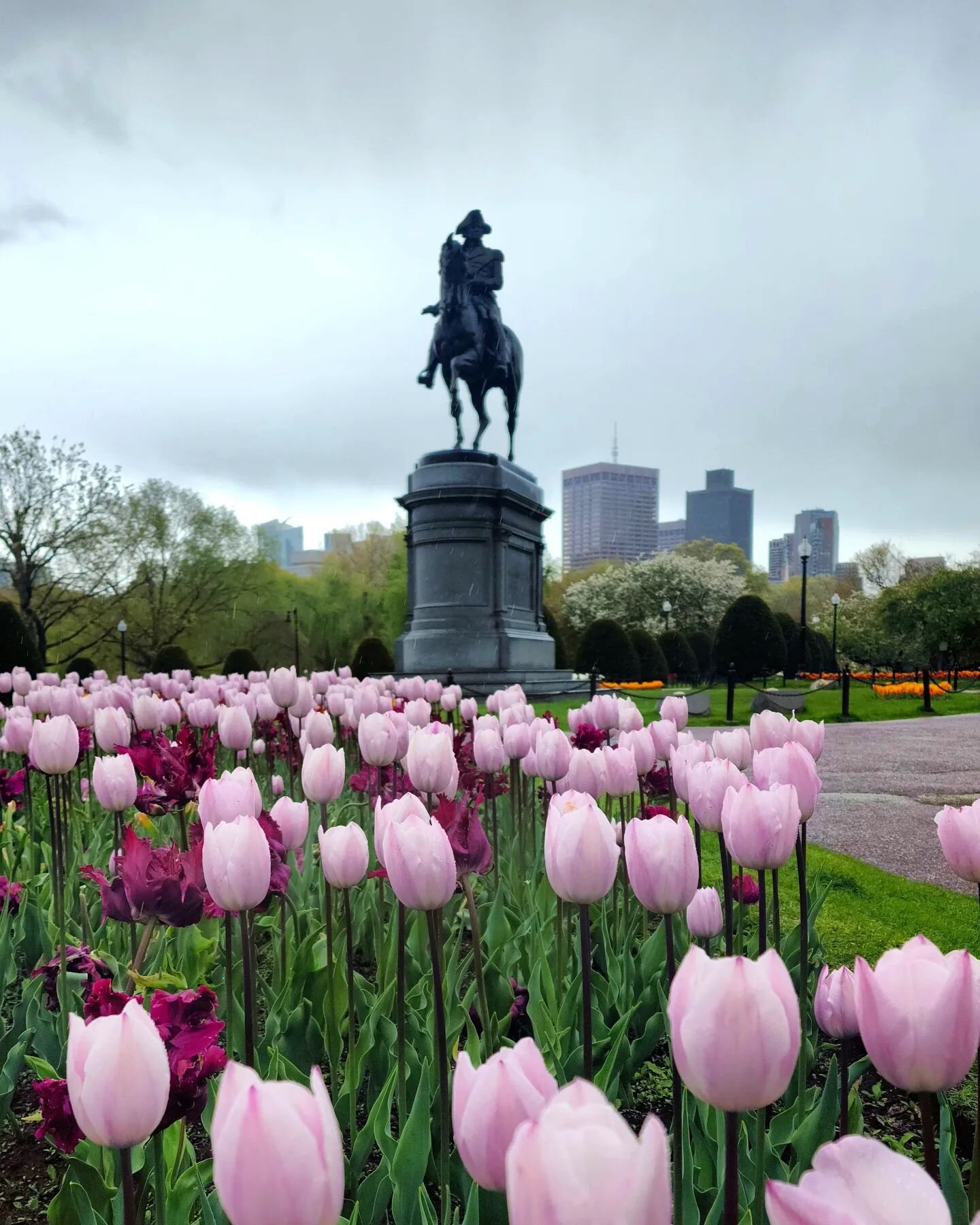 Even when it rains, #Boston shines.