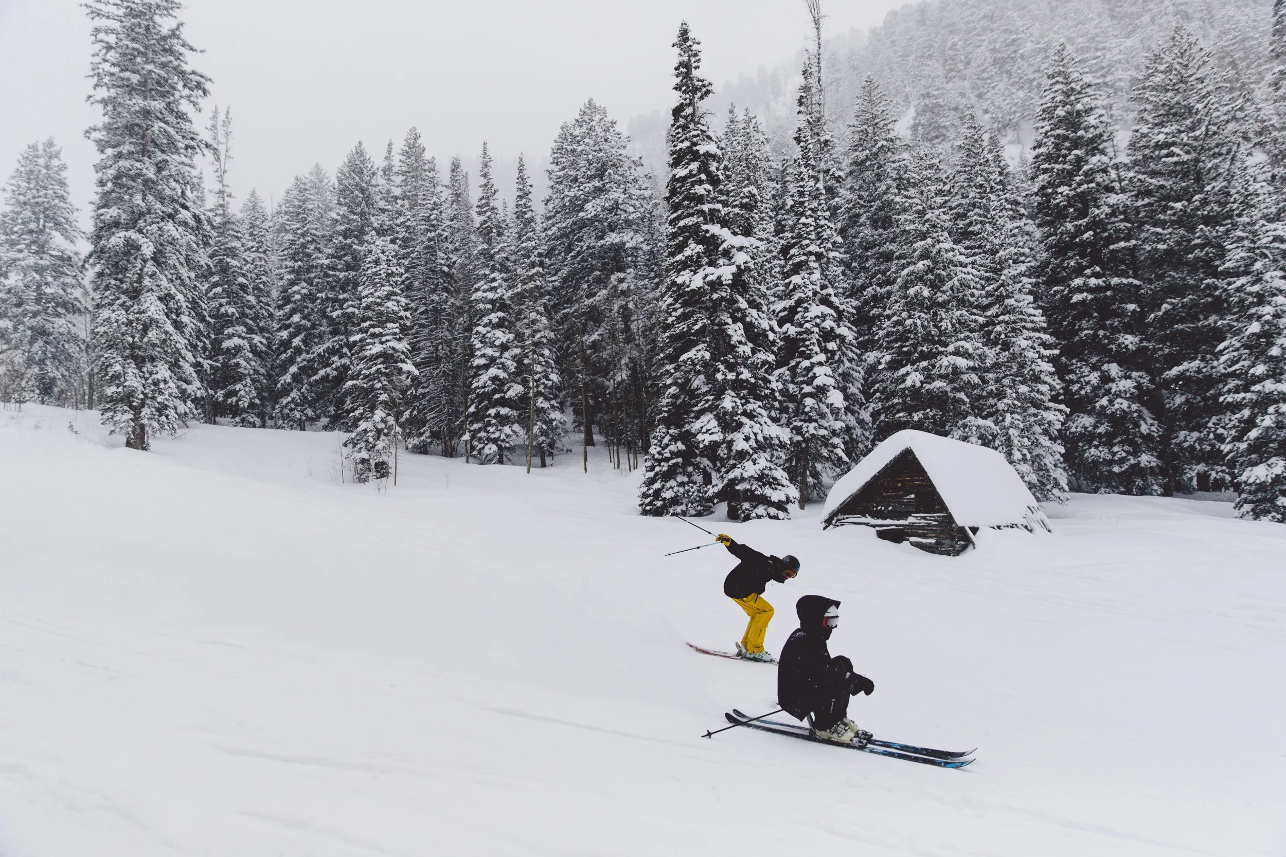 snowboarding69682016.jpg