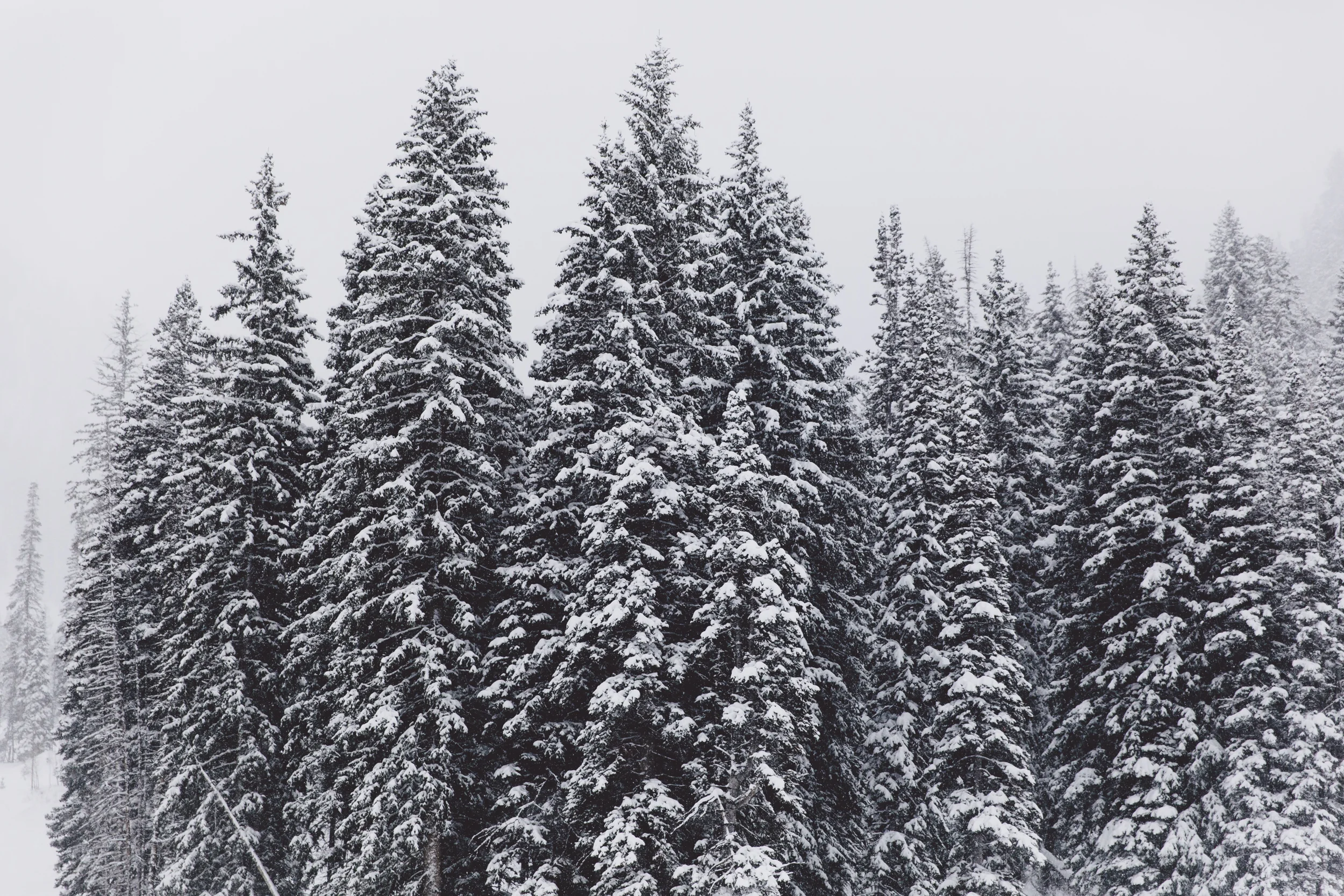 snowboarding70042016.jpg