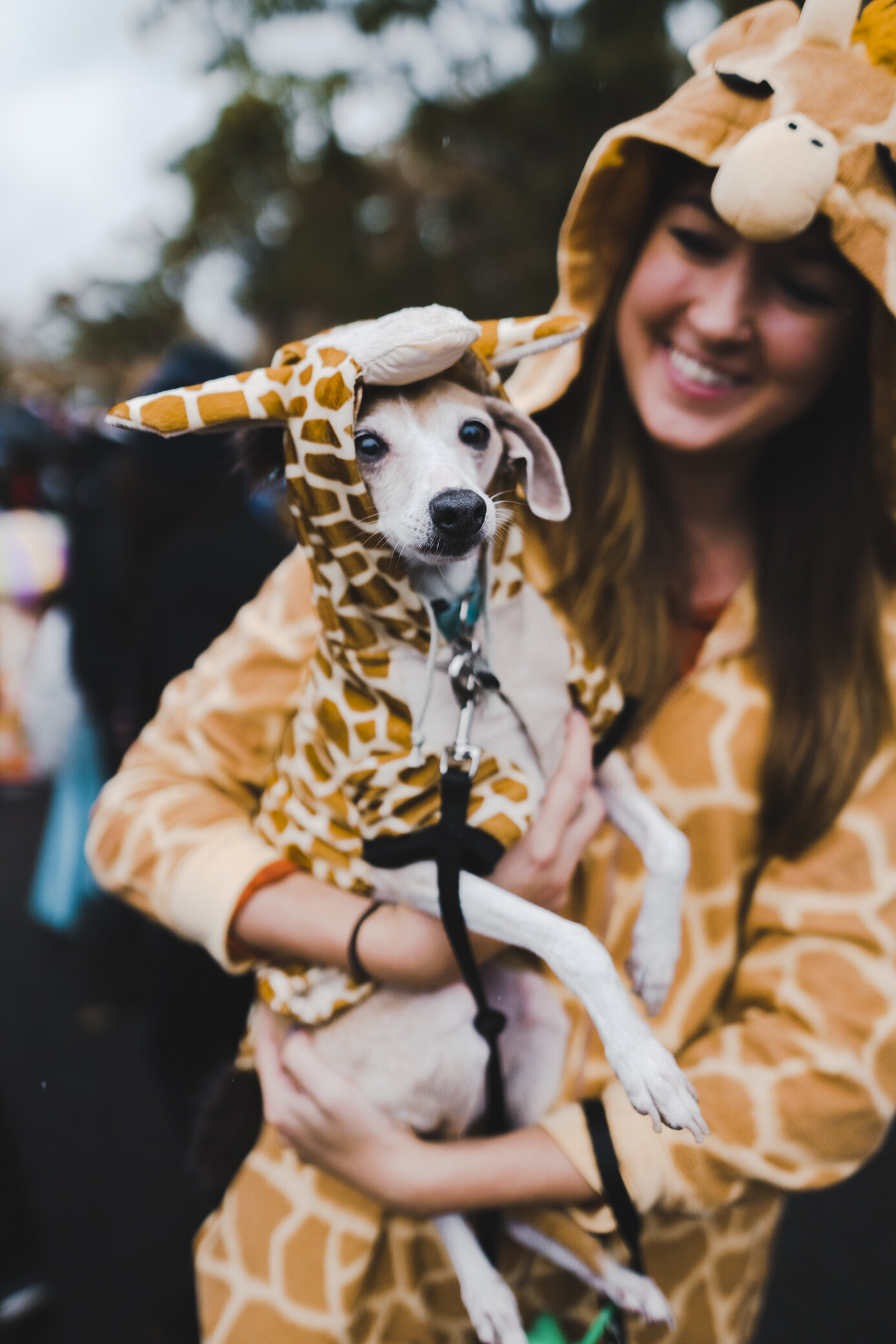 halloween_dogs_@jermcohenDSC07111_10153.jpg