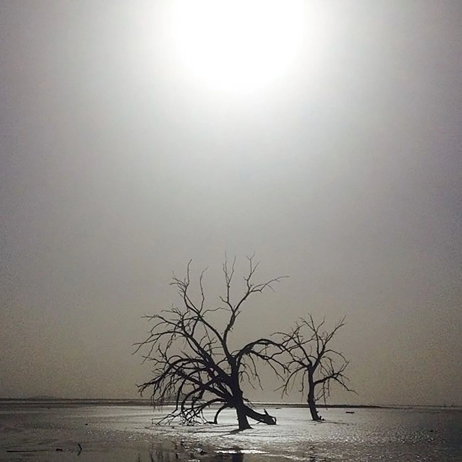 Saviors- Mike Coulter double lp