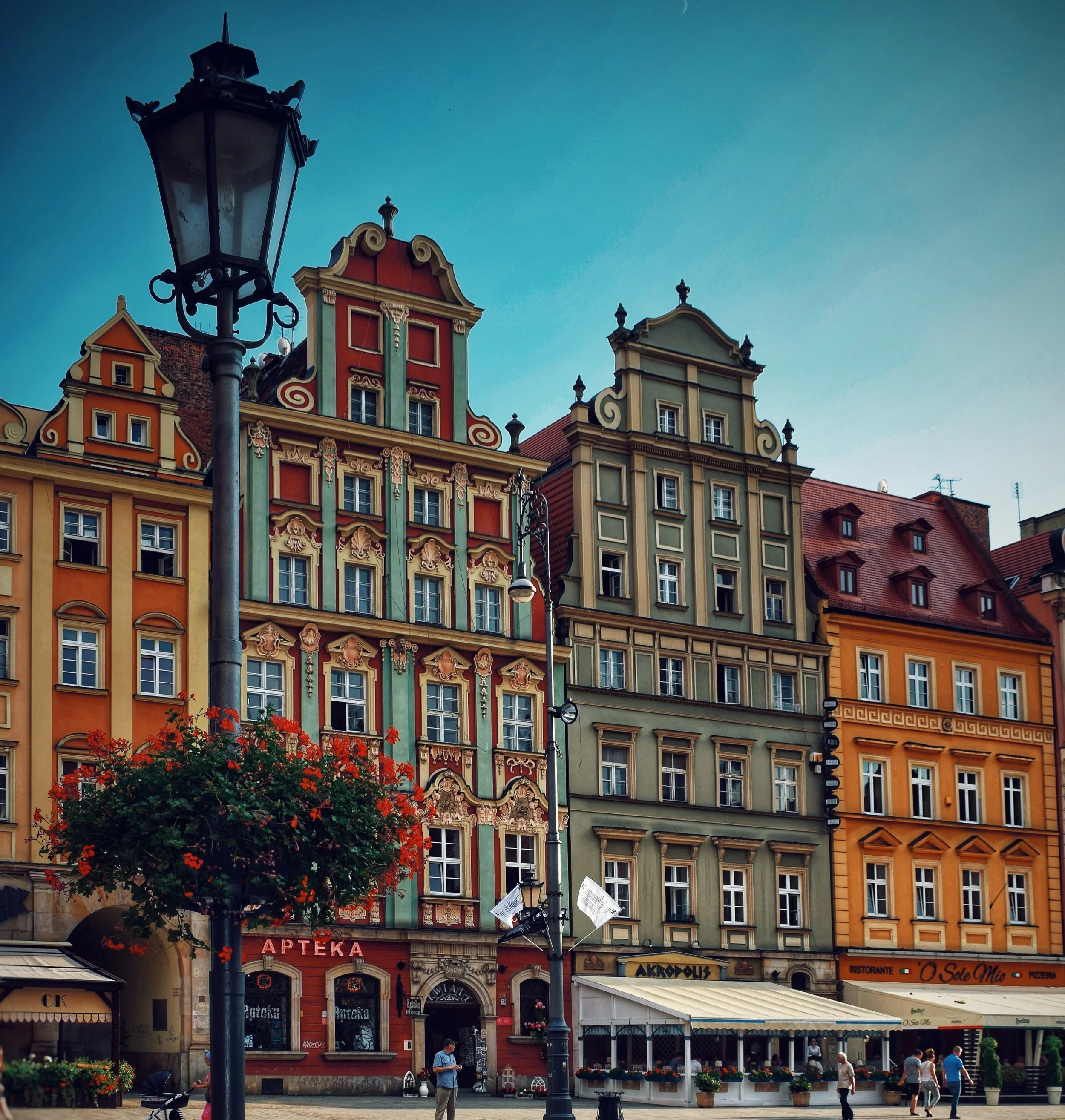 mihaela-holhos-747025-unsplash.jpg