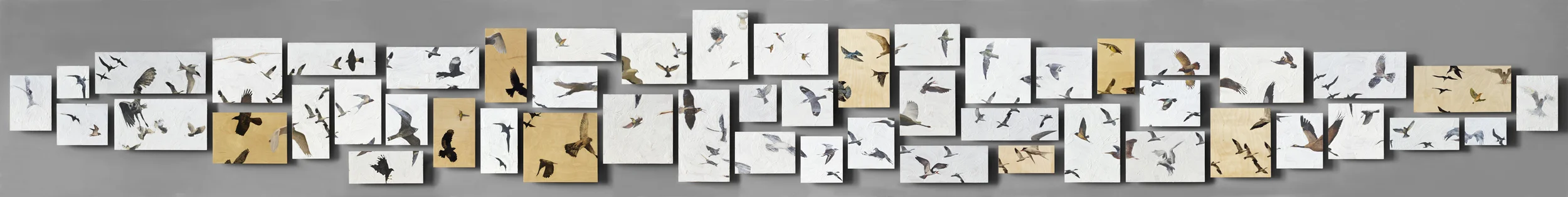 My Aviary, panels #1-51 , 2011, mixed media, variable.